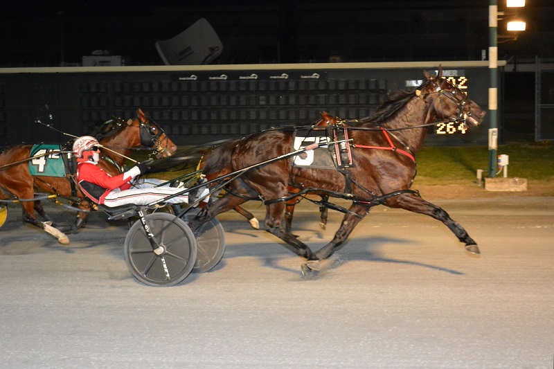 Bettor Memories