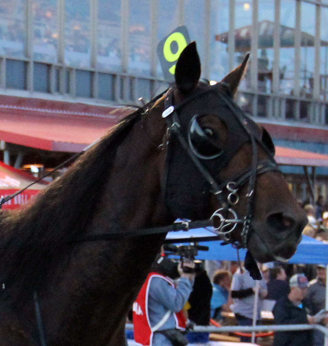 Bettor's Edge_head