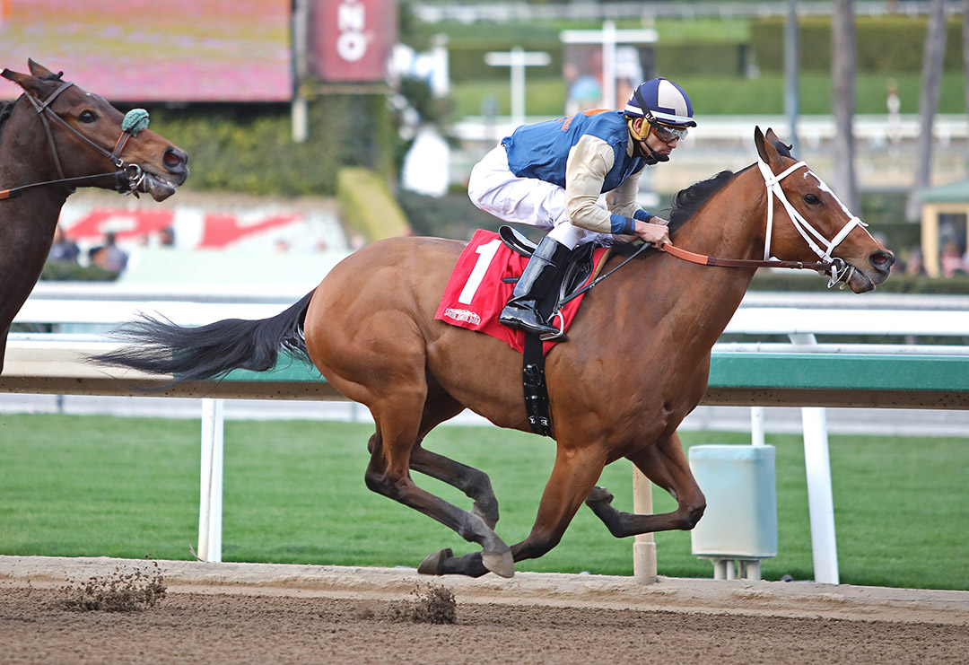 Bettor Trip Nick finishes third in the 2020 California Cup Derby at Santa Anita