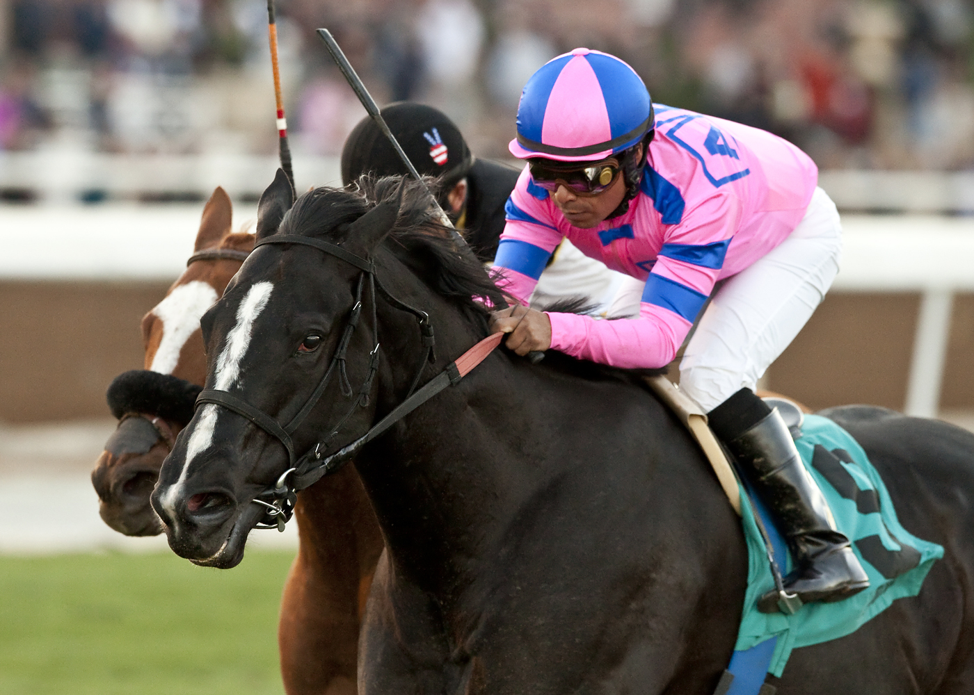 Bettys Bambino wins 2014 Daytona