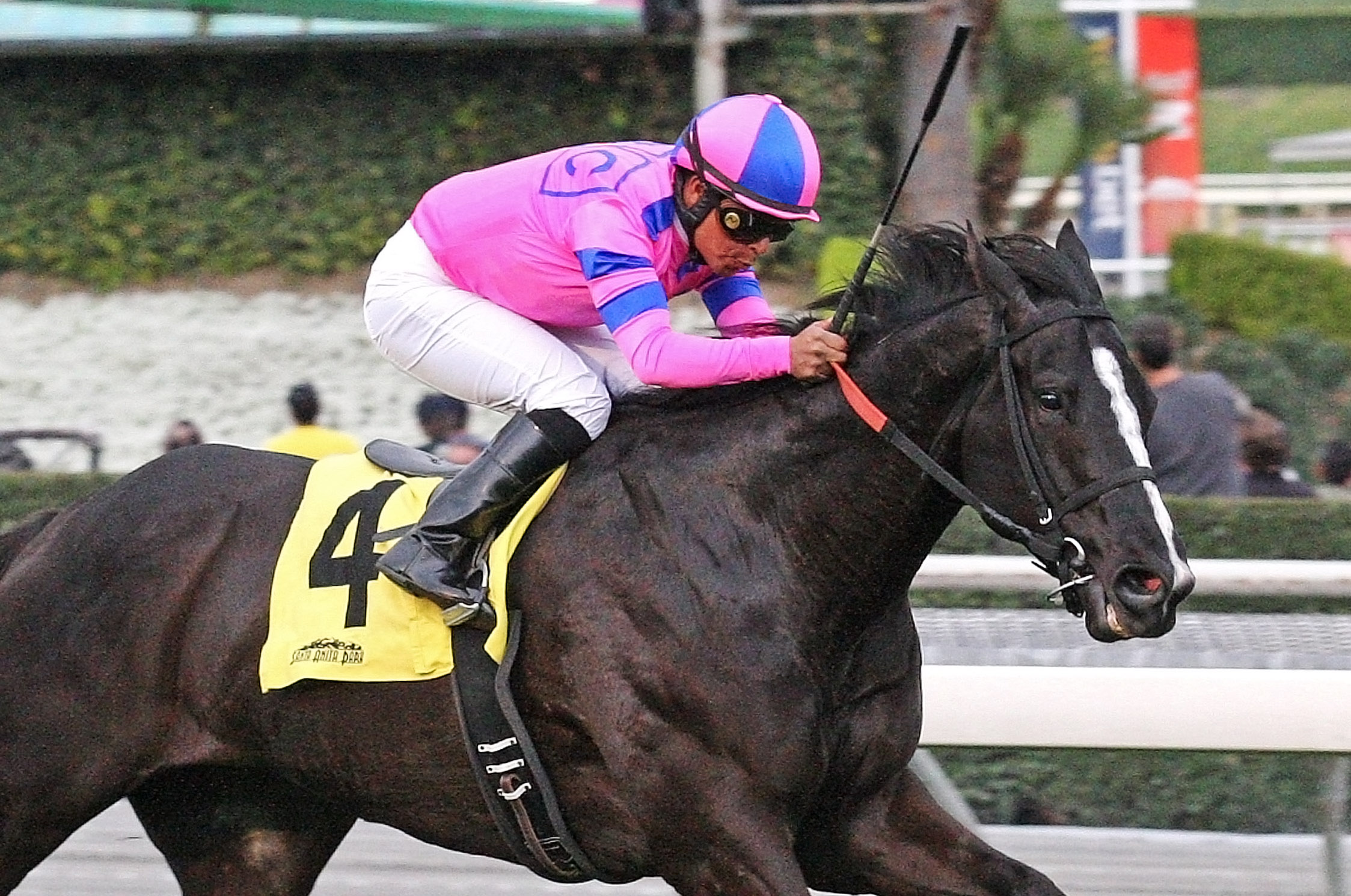 Bettys Bambino wins the San Simeon Stakes