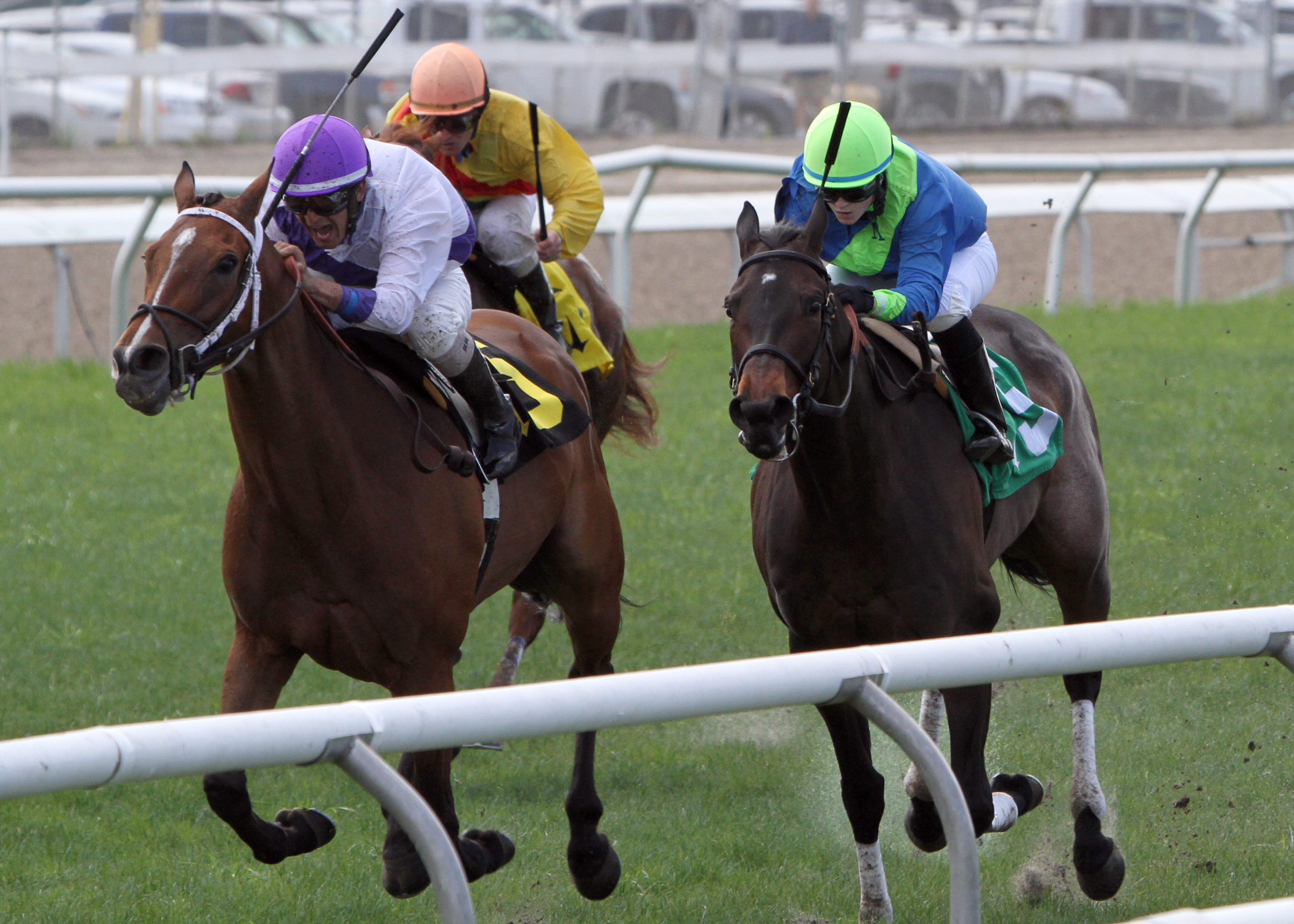 Beverly Belle/Red Camelia Stakes