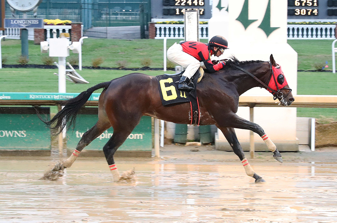 Beverly Park wins a Nov. 11 allowance at Churchill Downs