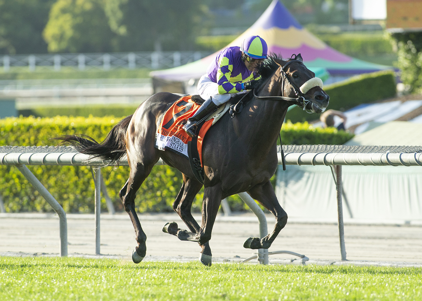 Beyond Brilliant wins the Whittingham April 30 2022