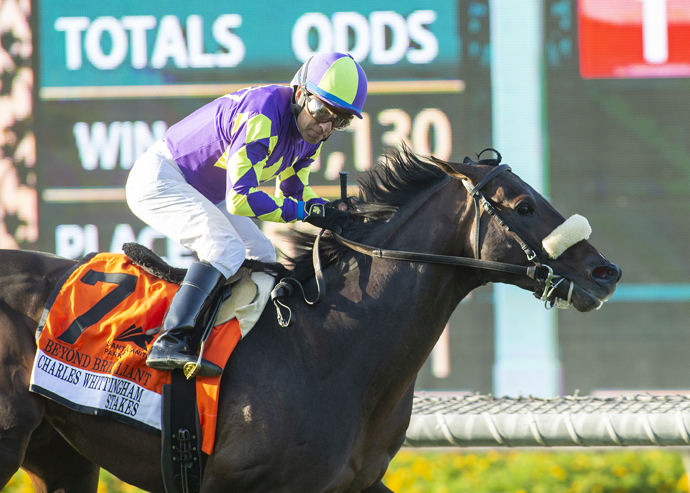 Beyond Brilliant wins the Whittingham at Santa Anita April 30 2022