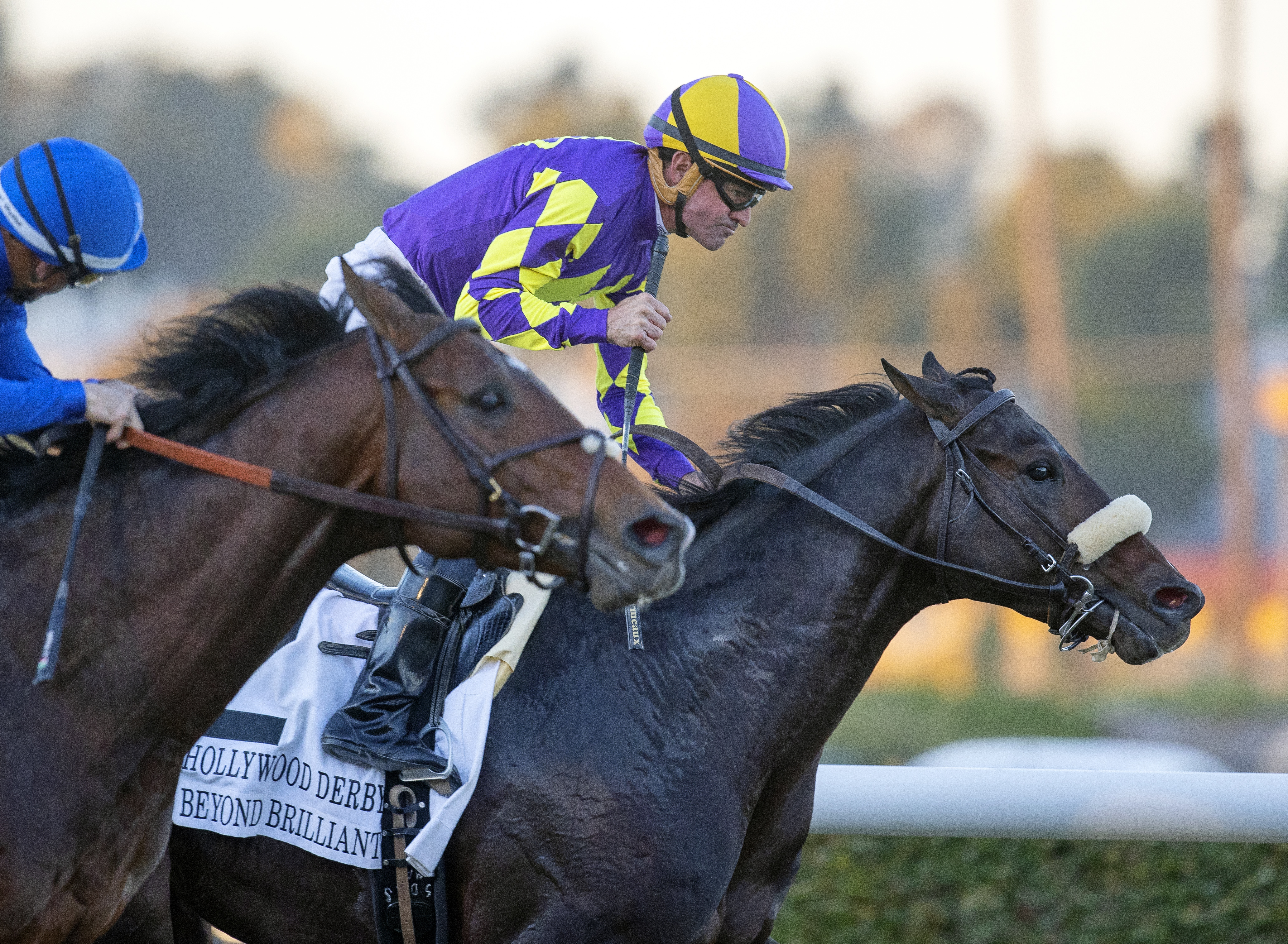 Beyond Brilliant wins Hollywood Derby 11-27-2021
