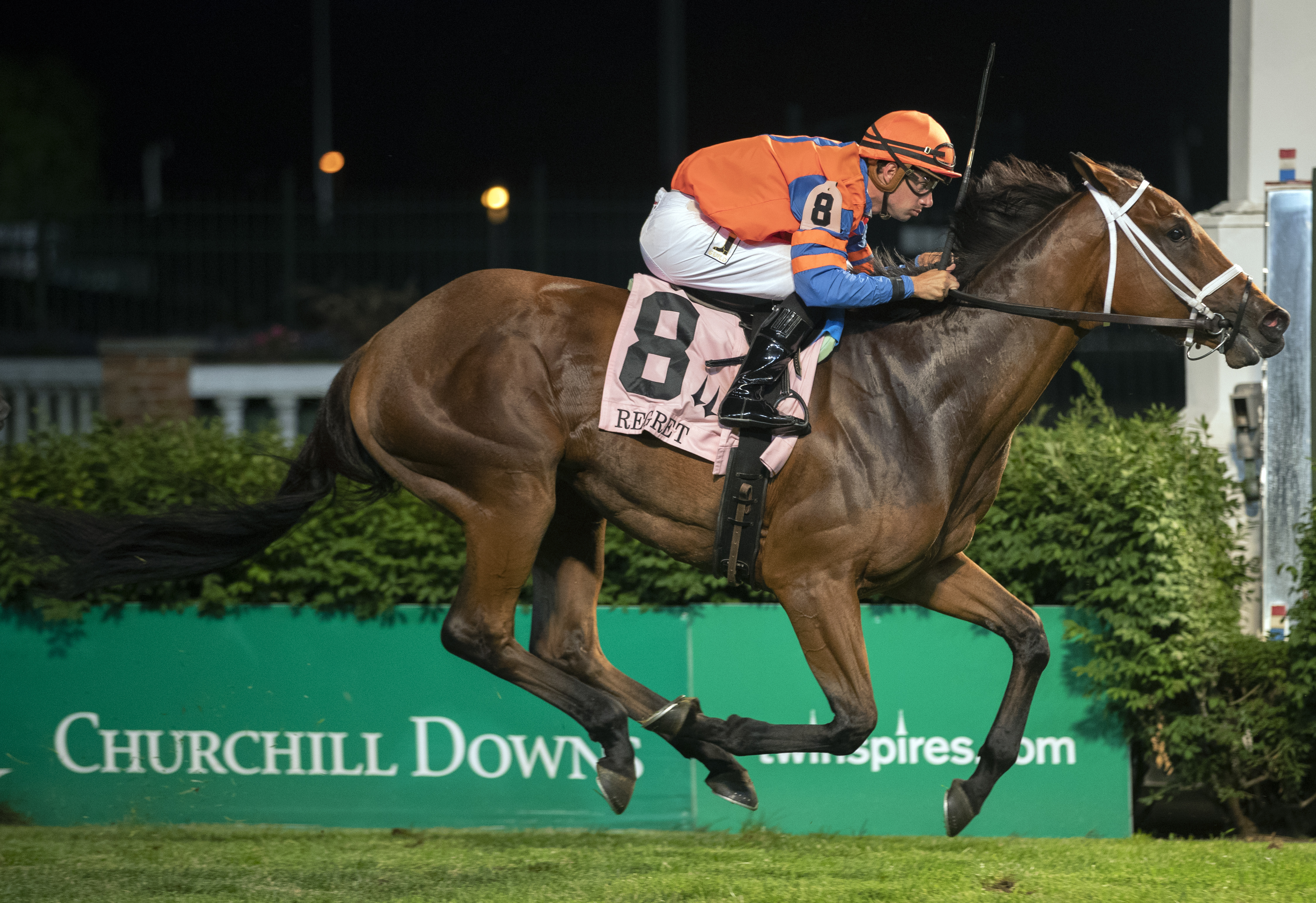 Beyond Blame wins the 2018 Regret Stakes