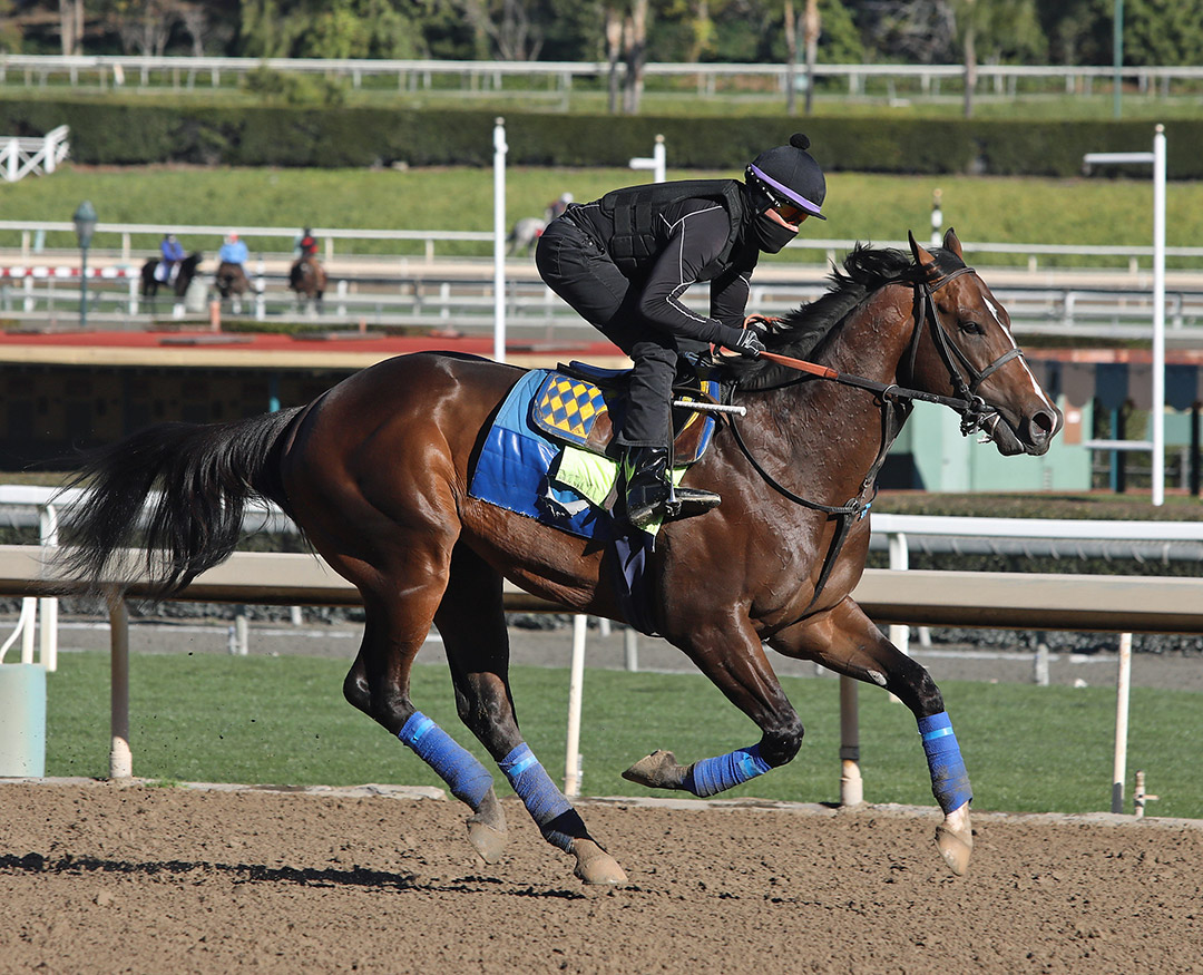 Bezos trains at Santa Anita Park on Jan. 30