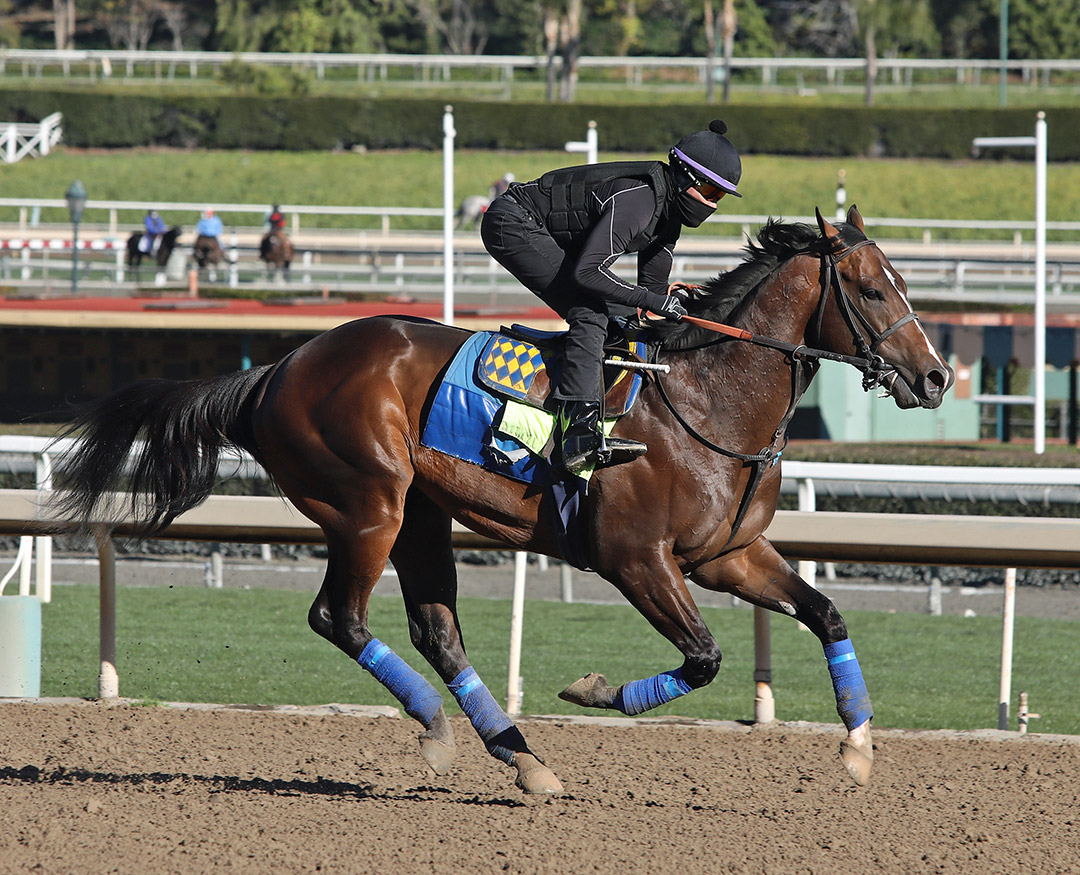 Bezos trains at Santa Anita Park on Jan. 30