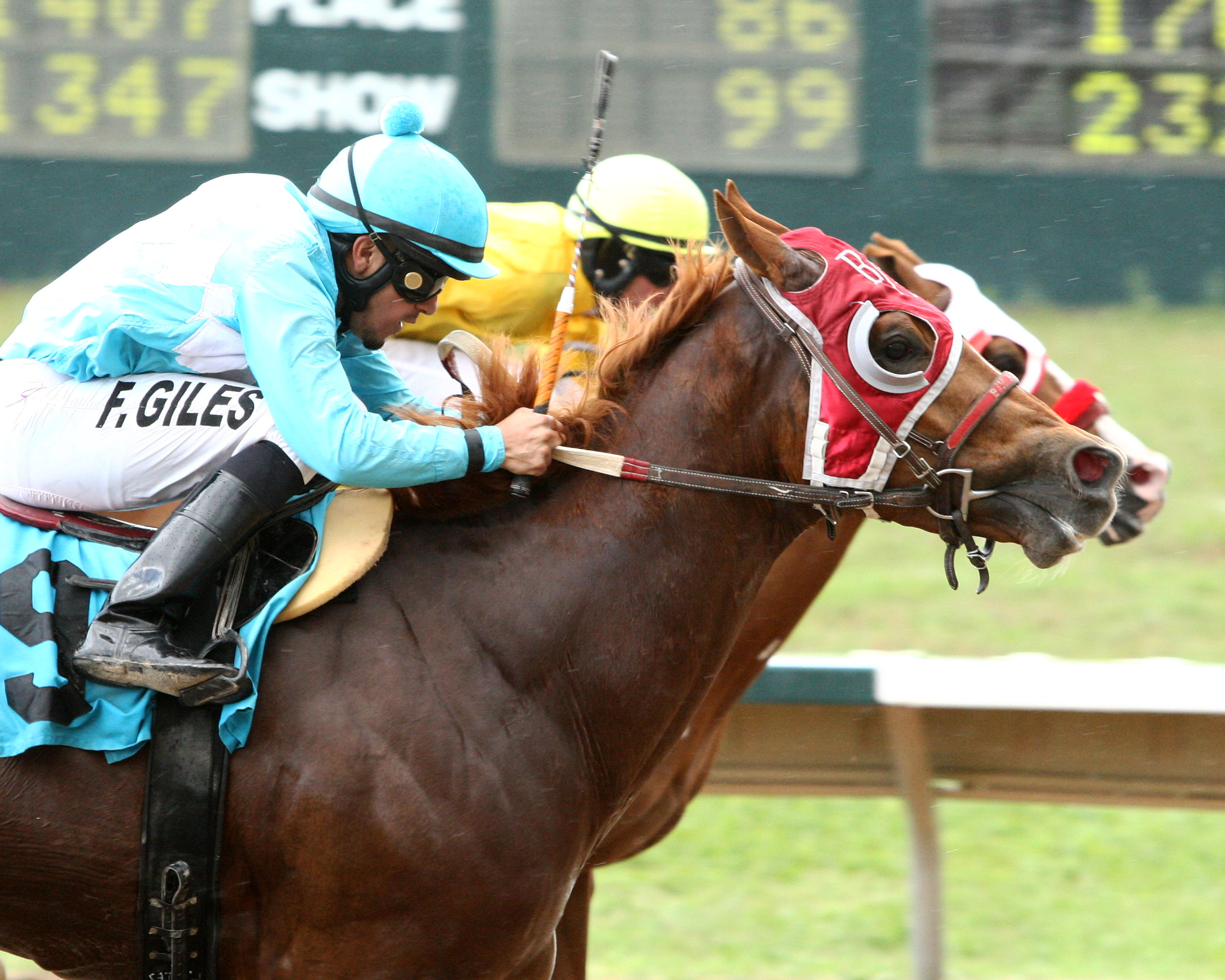 Bh Lisas Boy wins the W/SW Adequan Derby Challenge