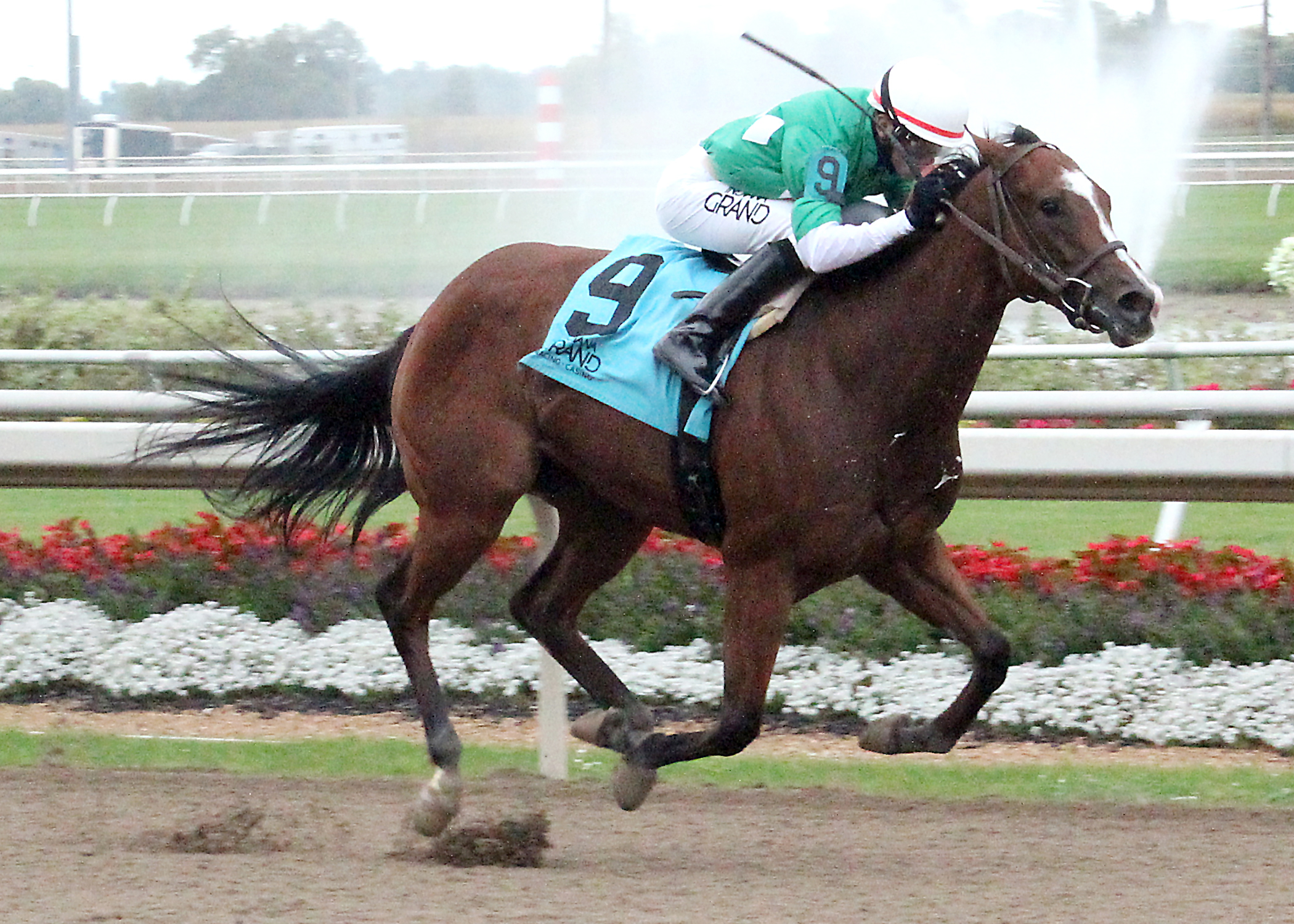 Bibbidibobbidi Boo wins the 2017 City of Anderson Stakes