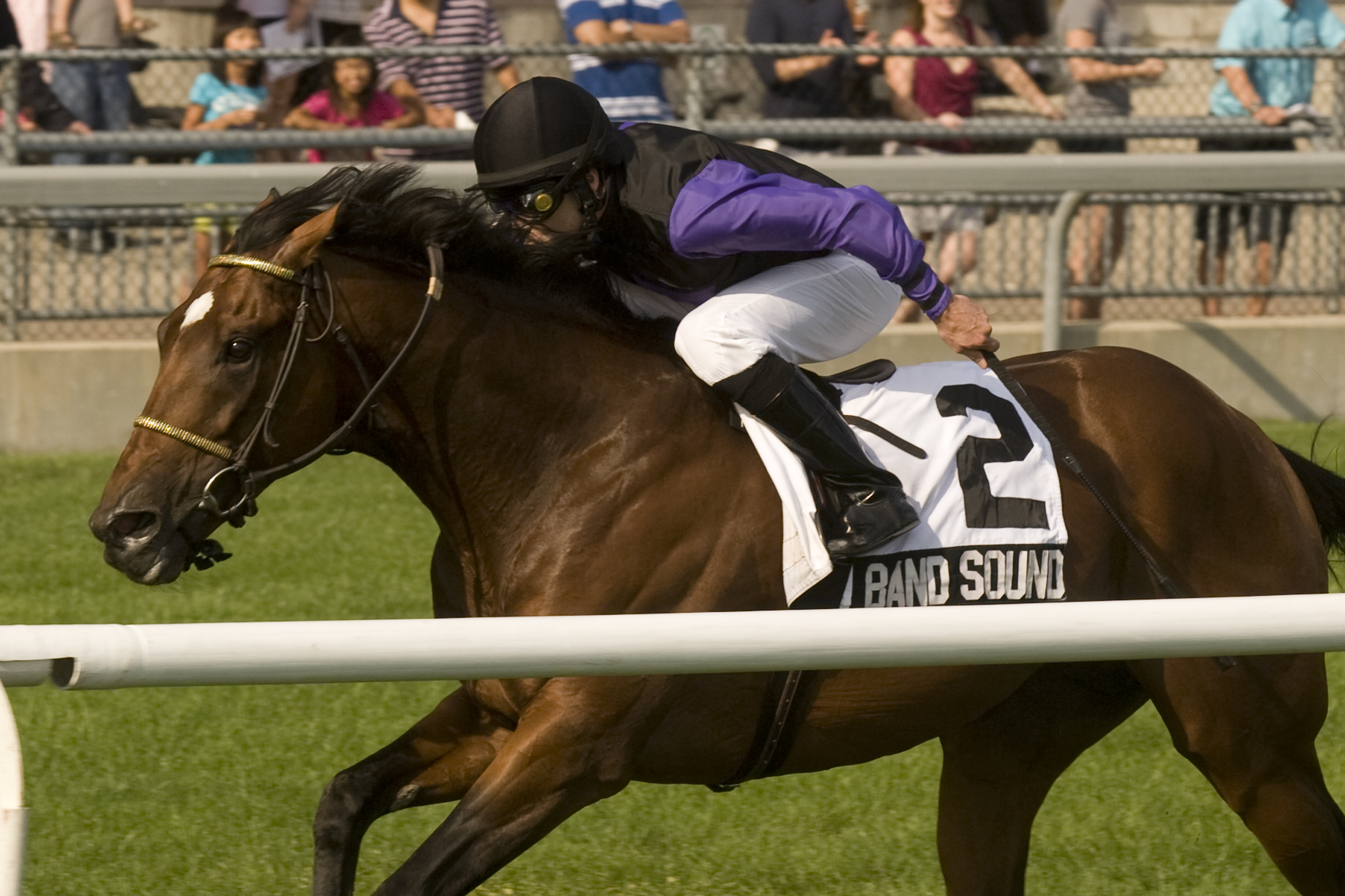 Big Band Sound/Play the King Stakes