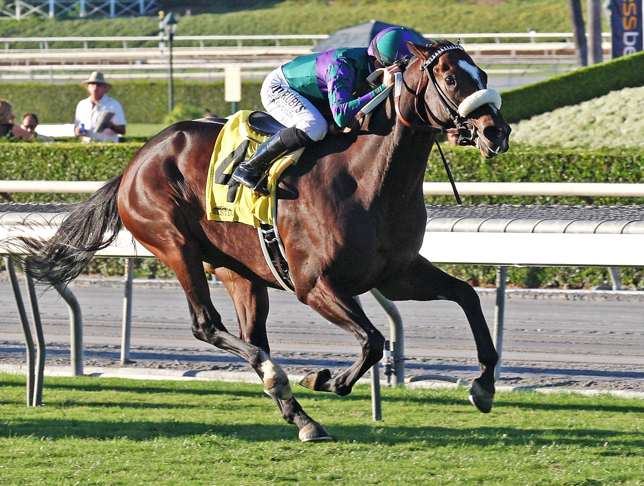 Big Bane Theory wins the City of Hope Mile