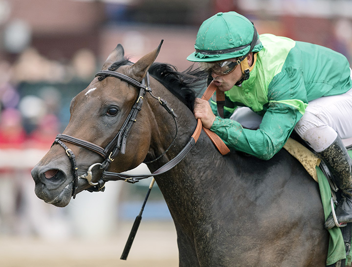 Big Birthday wins an Aug. 31 maiden race