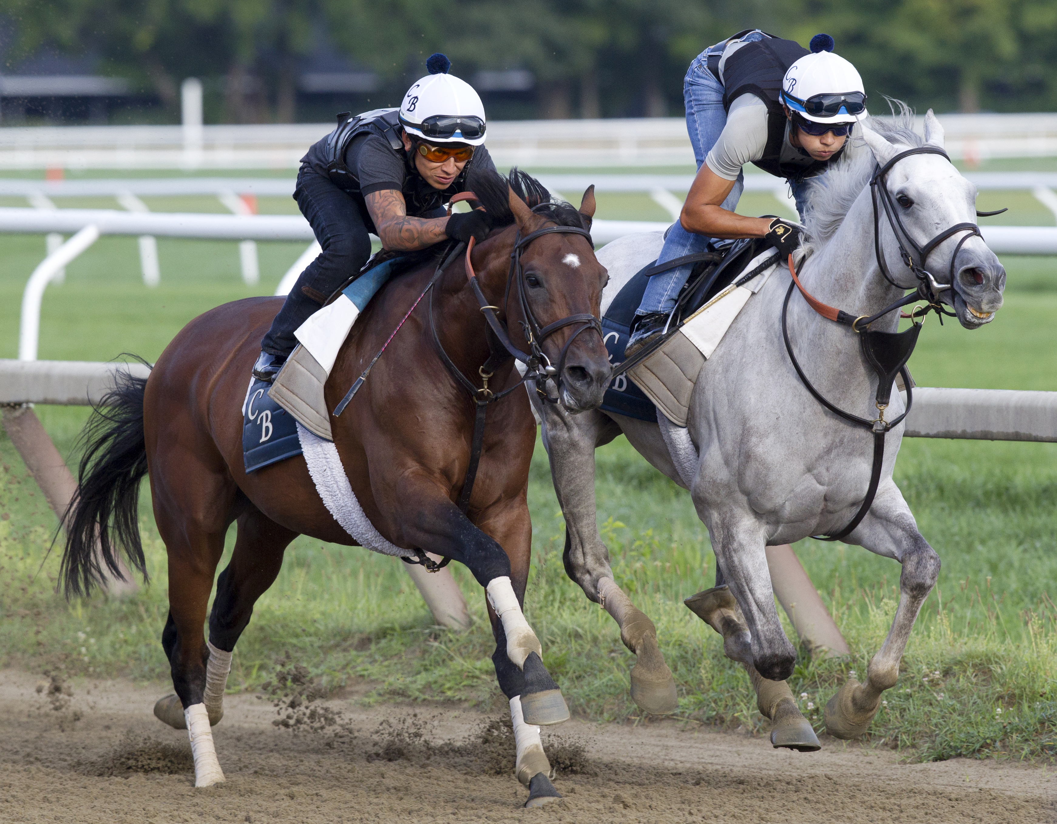 Big Blue Kitten trains with Mr Maybe at Saratoga on Aug. 18
