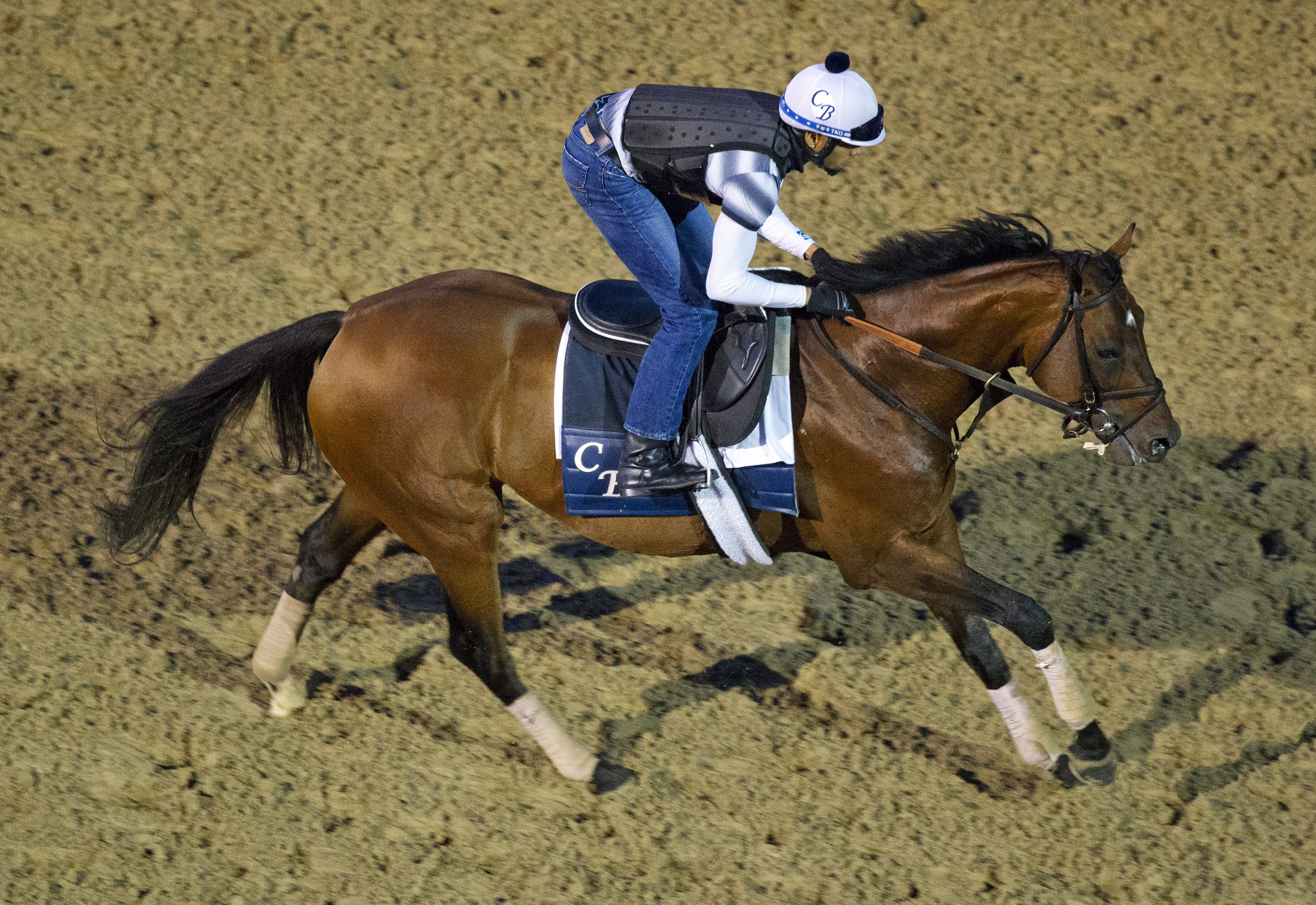 Big Blue Kitten at Churchill on April 24