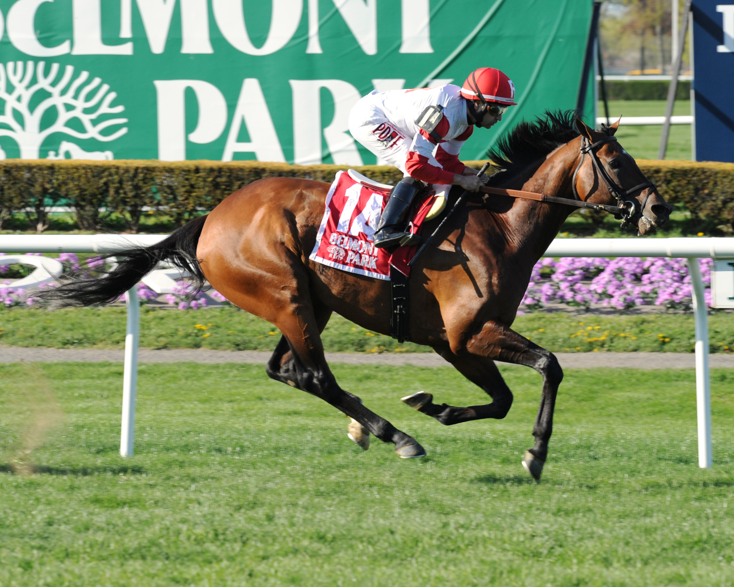 Big Blue Kitten wins the Fort Marcy