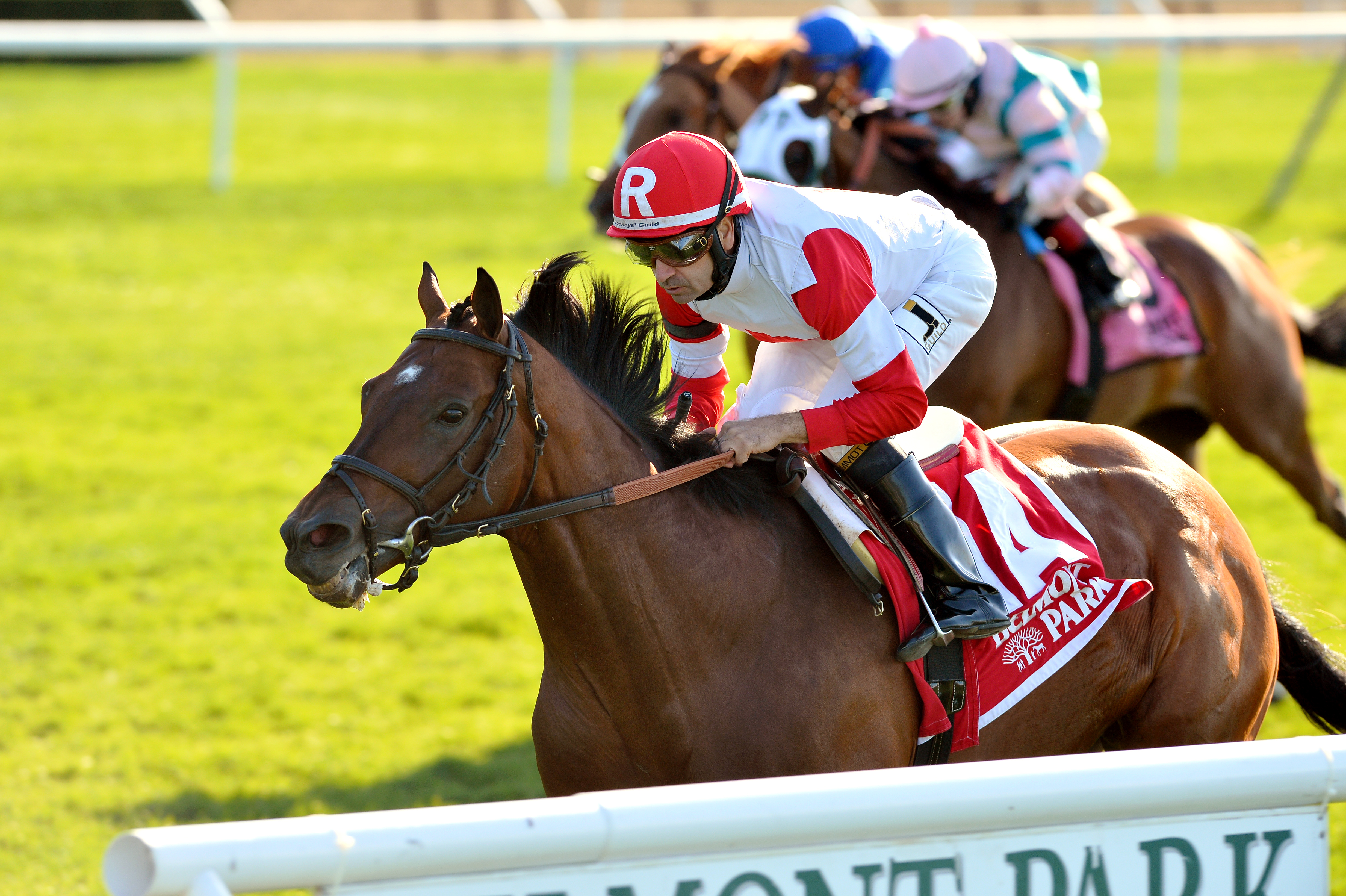 Big Blue Kitten wins the Fort Marcy