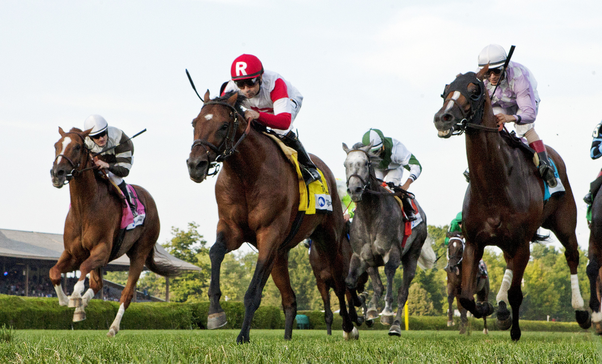 Big Blue Kitten wins the Lure Stakes