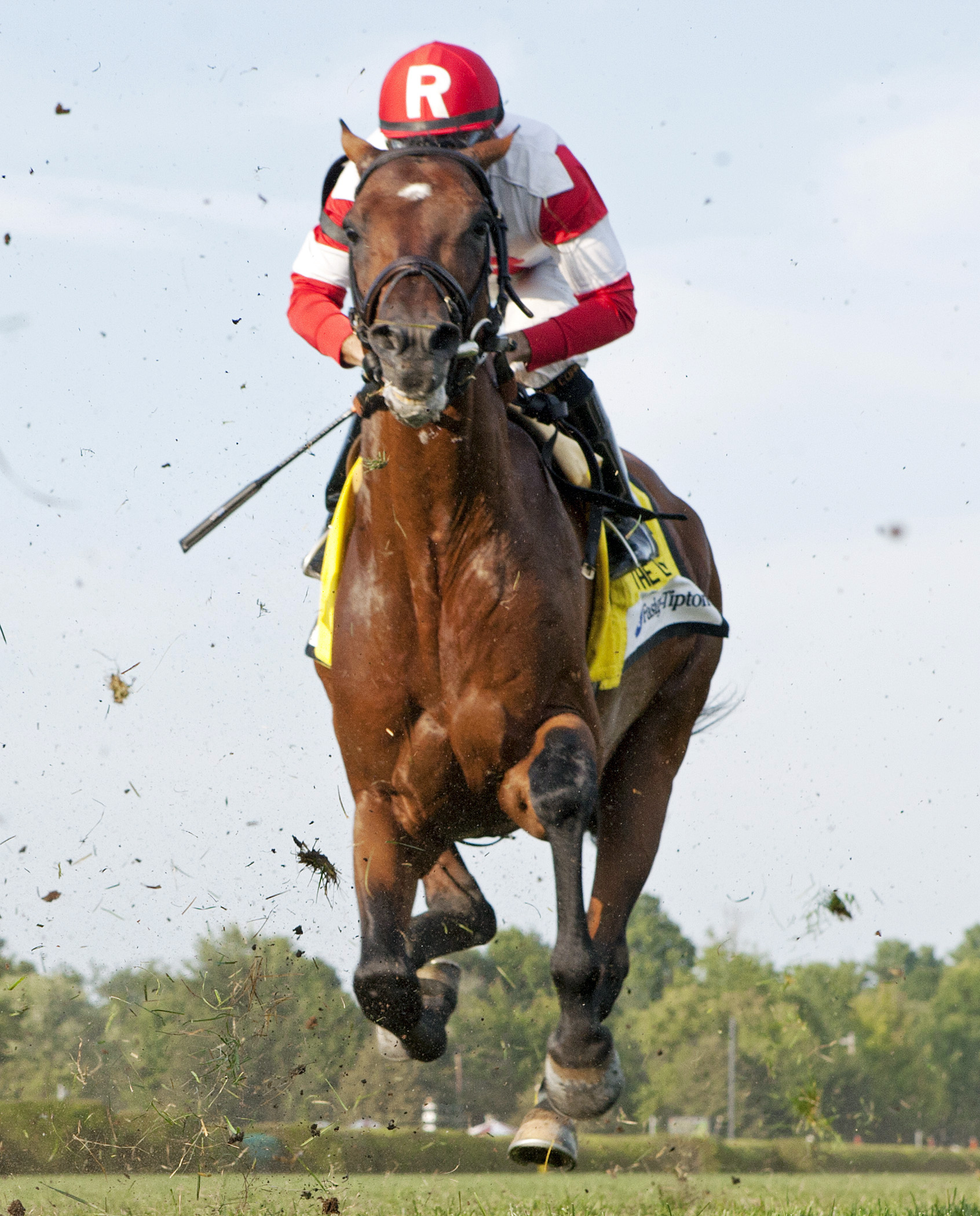 Big Blue Kitten wins the Lure Stakes