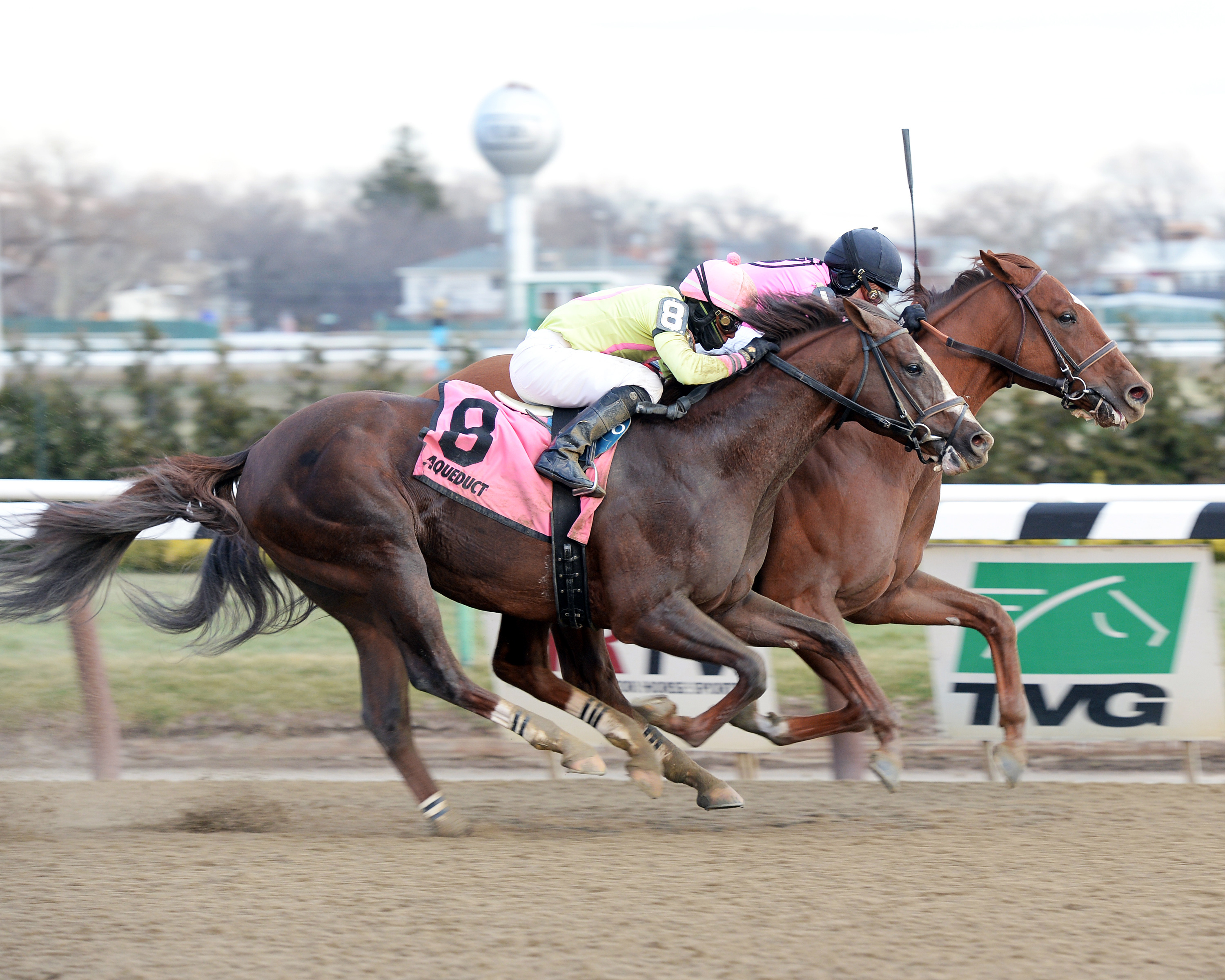 Big Business wins the Alex M. Robb