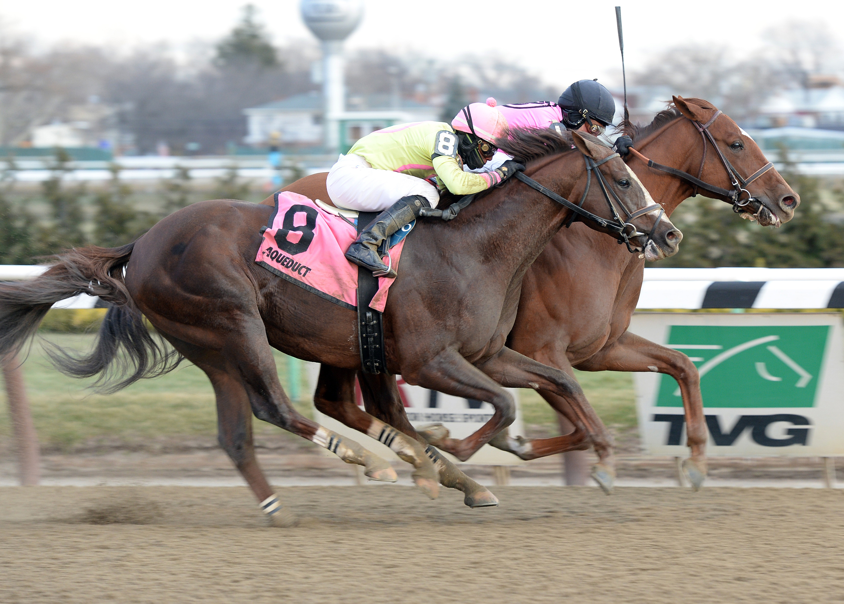 Big Business wins the Alex M. Robb Stakes