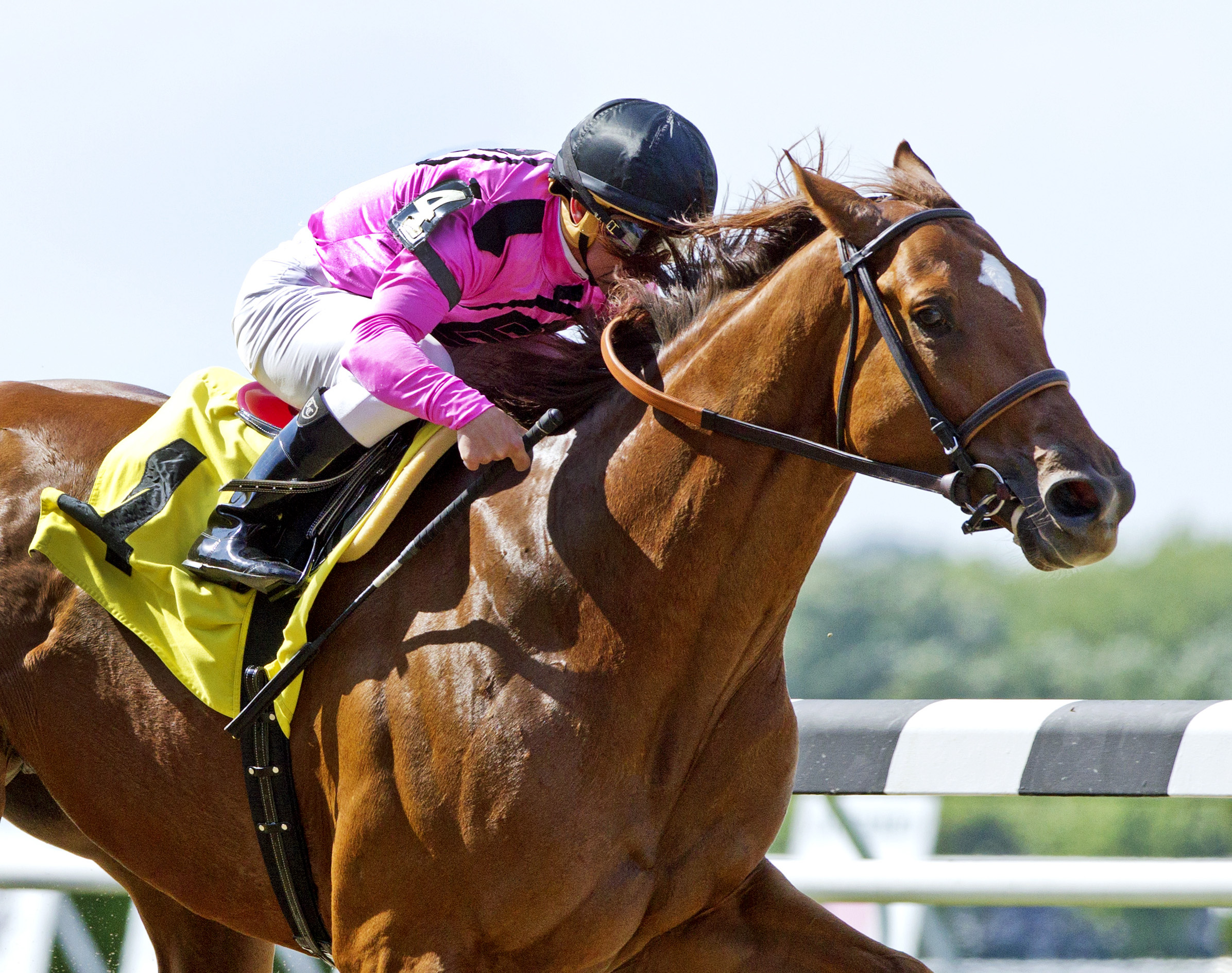 Big Business wins an allowance race