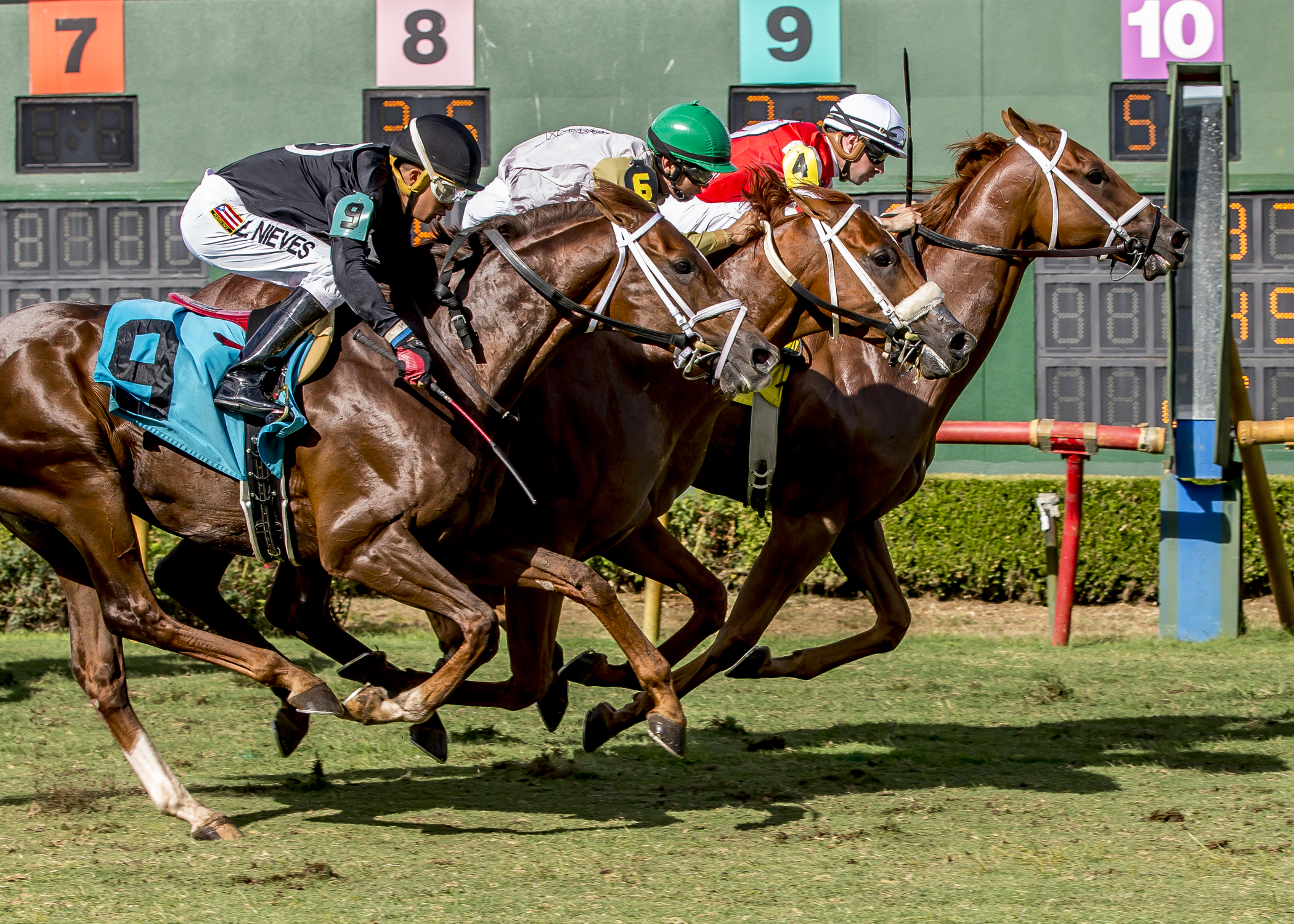 Big Changes wins 2018 Unbridled Stakes