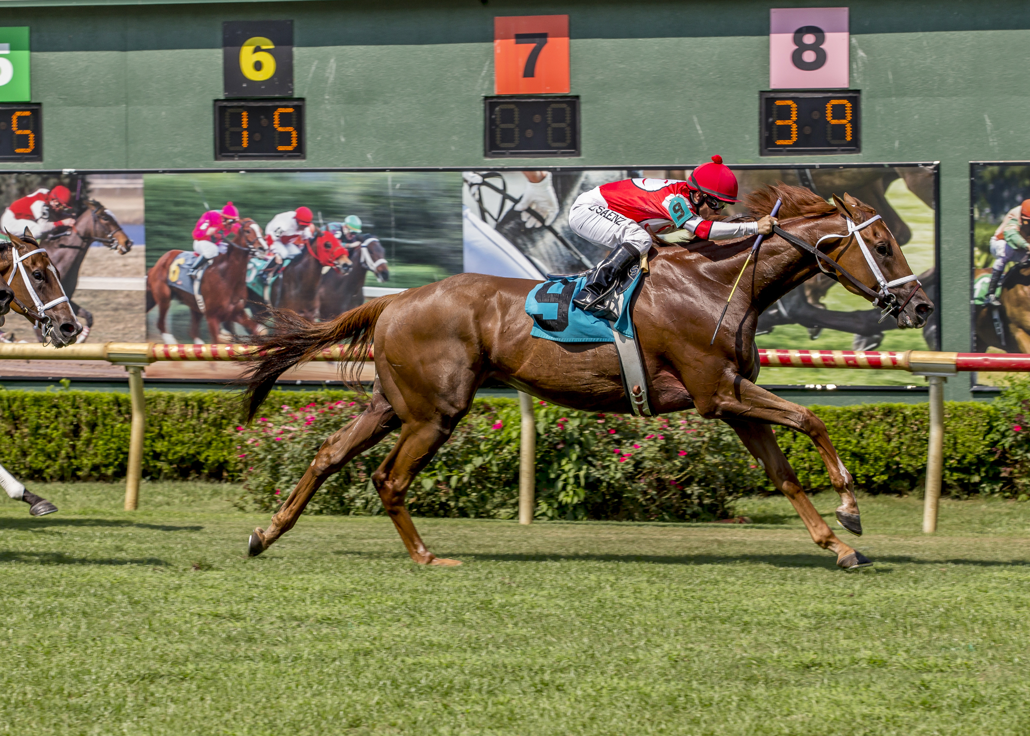 Big Changes wins the 2017 John Henry Stakes