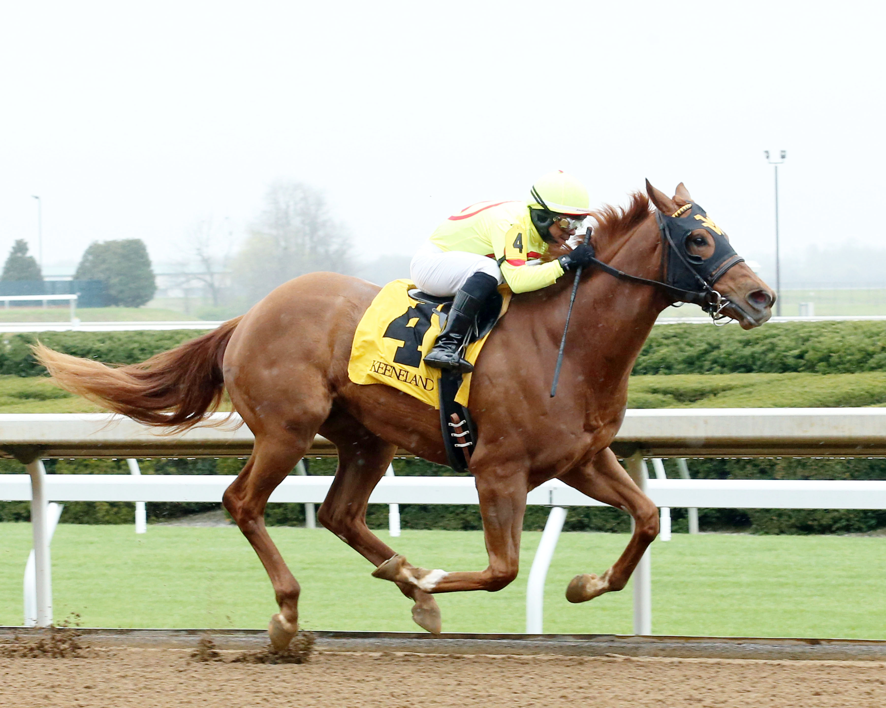 Big City Dreamin wins a maiden race at Keeneland