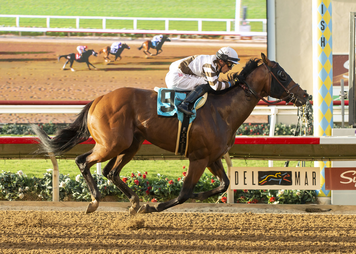 Big City Lights wins the Real Good Deal Stakes on Aug 5 2022
