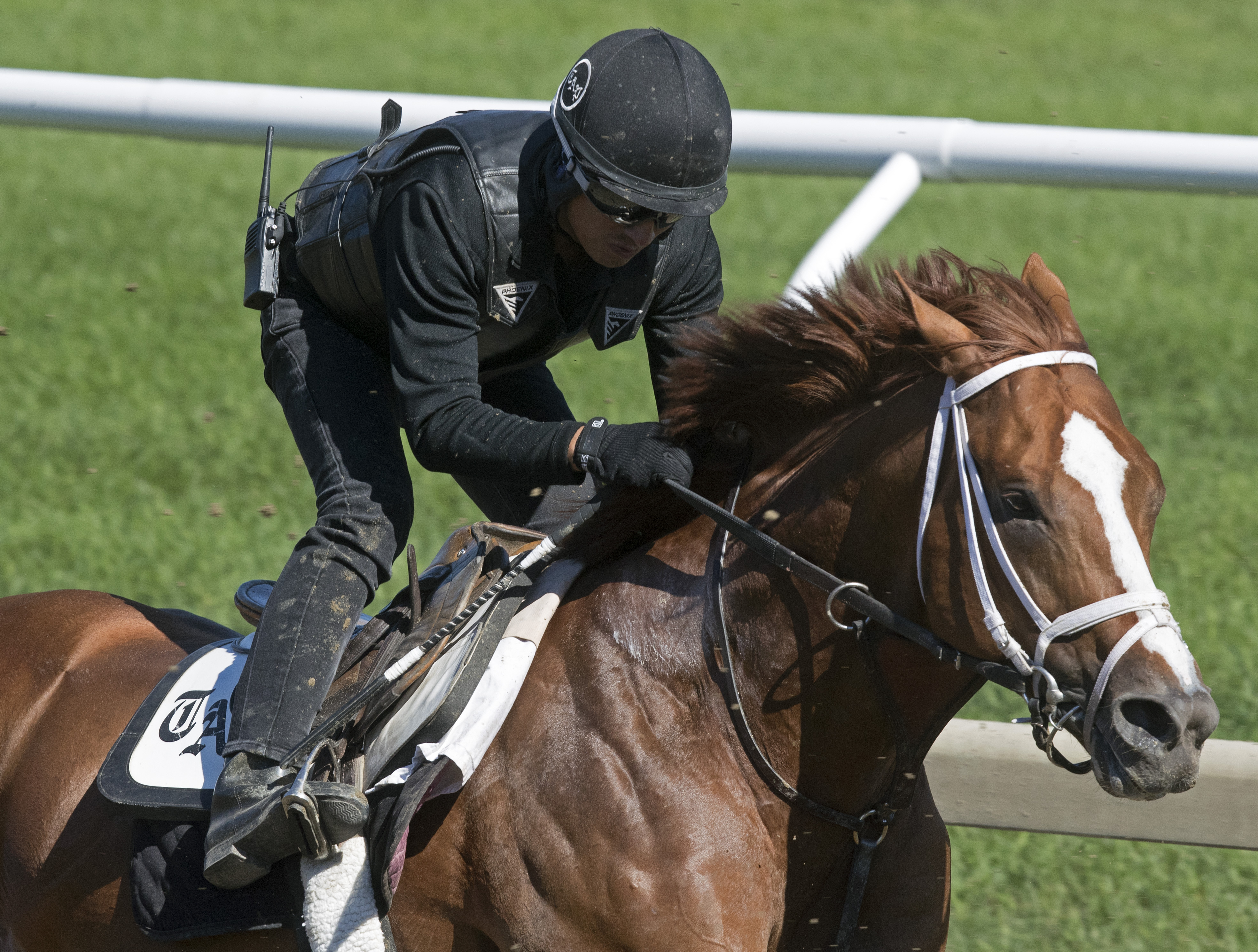 Big Daddy trains at Saratoga on July 30