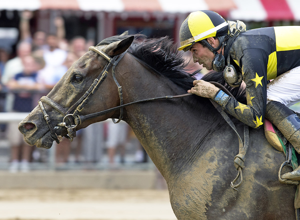 Big Dollar Bill wins the Birdstone Stakes