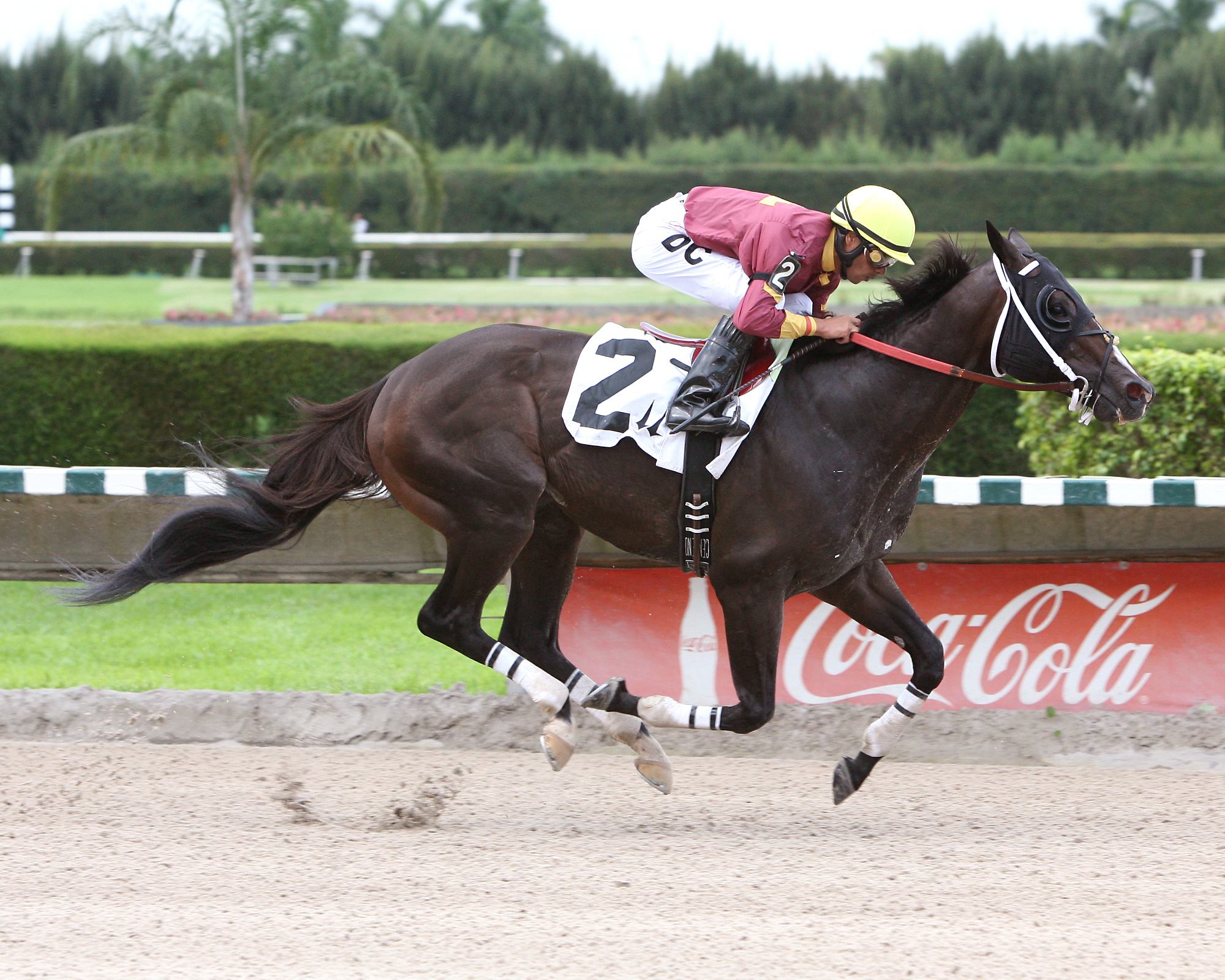Big Drama/Whippleton