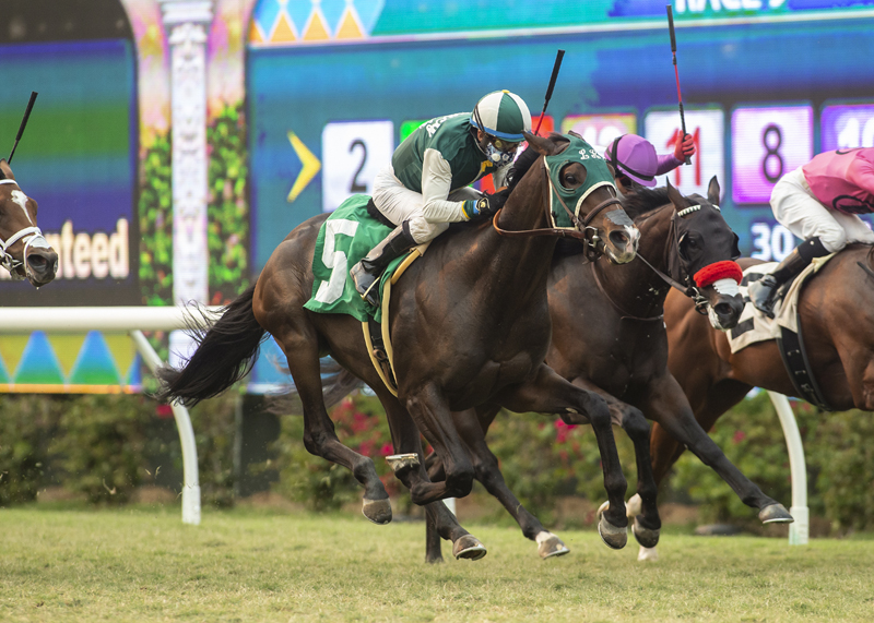 Big Fish/Del Mar Juvenile Turf