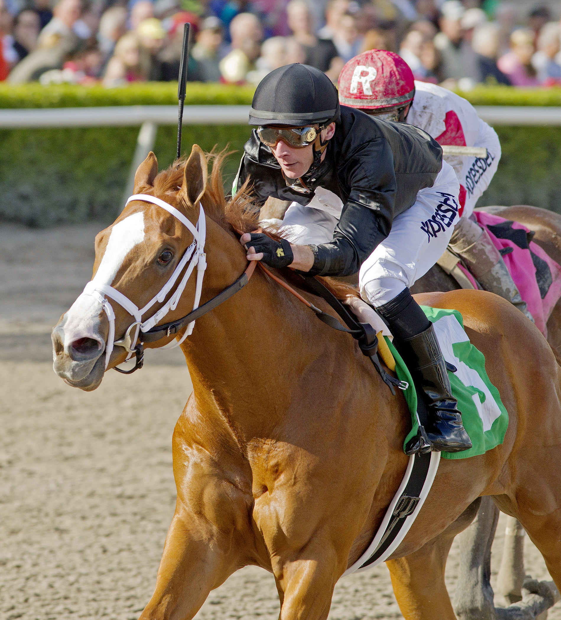 Big Guy Ian wins a maiden race