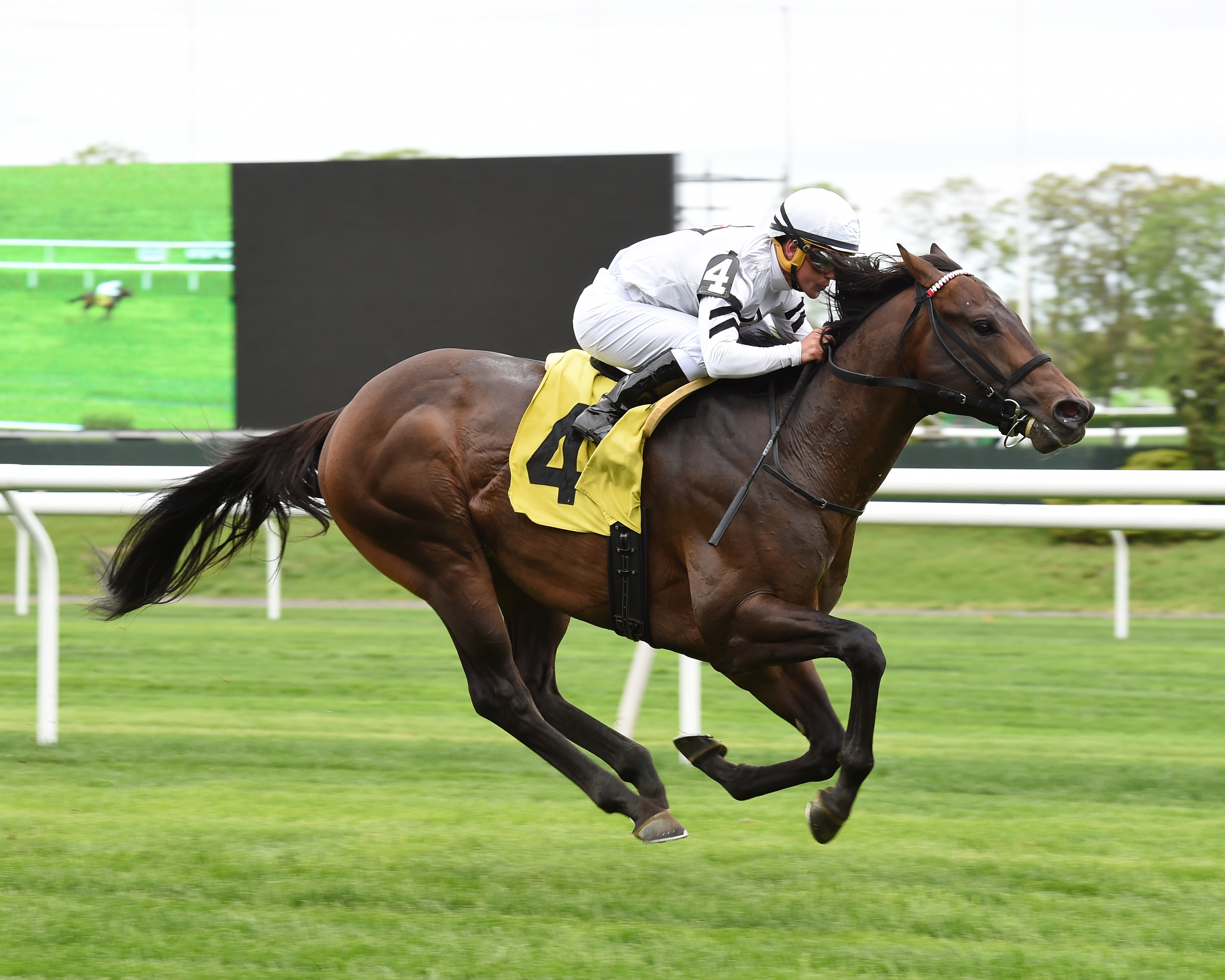 Big Handsome wins an April 30 allowance