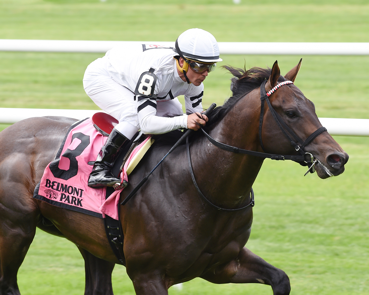 Big Handsome wins the 2017 Paradise Creek Stakes