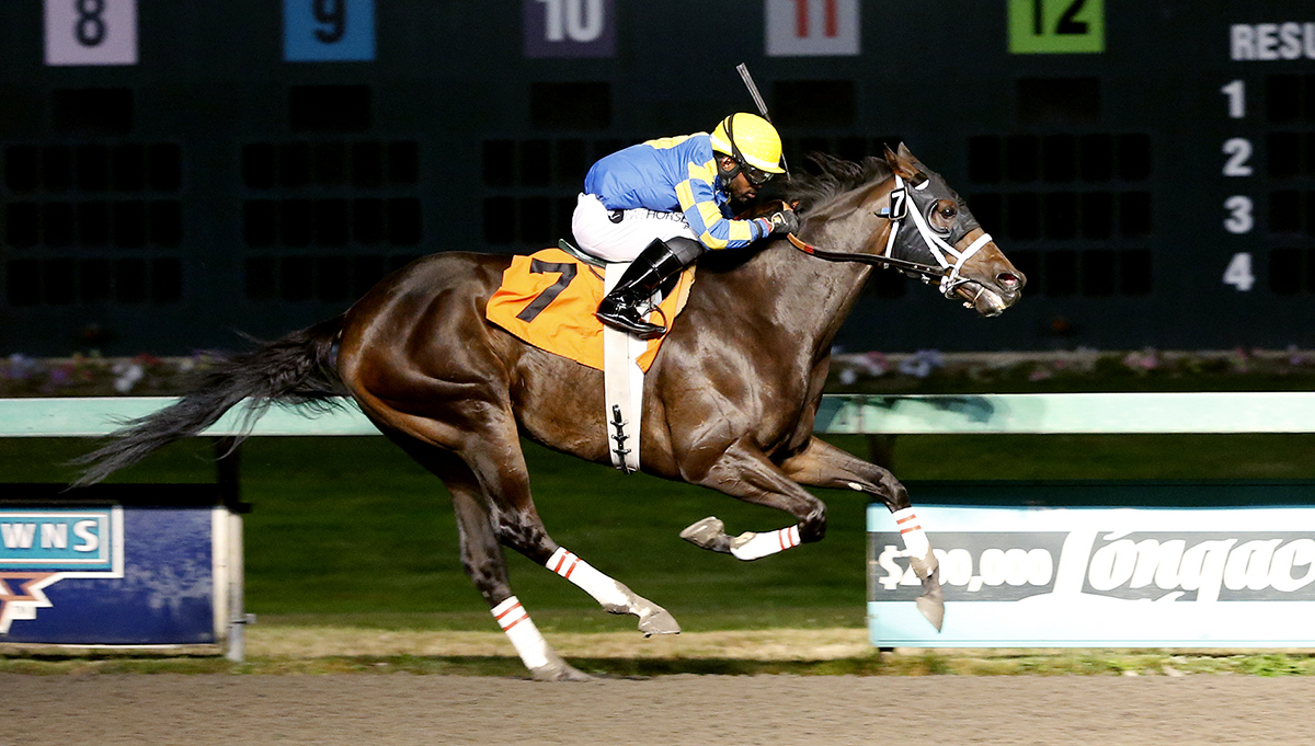 Big Hat Charlie wins a 2016 claiming race at Emerald Downs