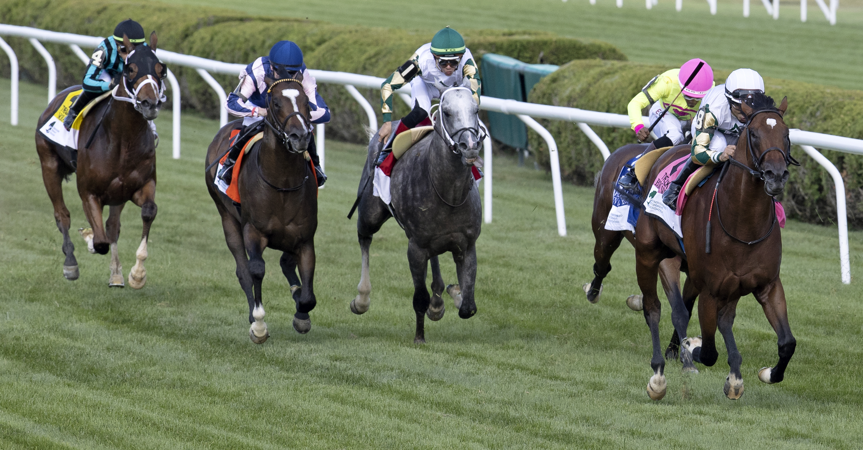 Saratoga turf racing