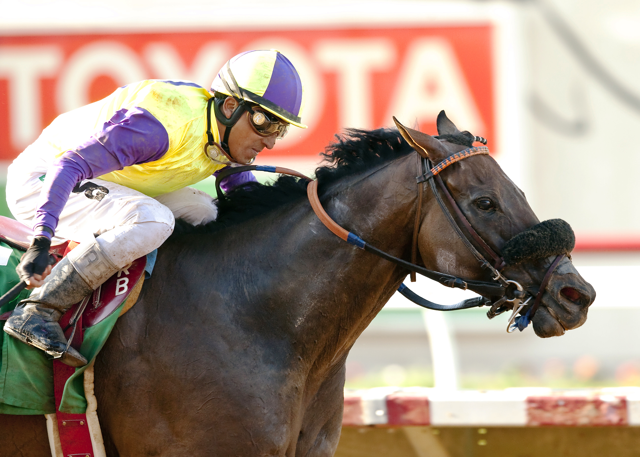 Big John B wins the Cougar II Handicap
