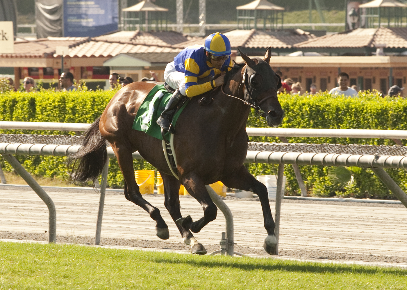 Big Kick wins 2014 San Juan Capistrano