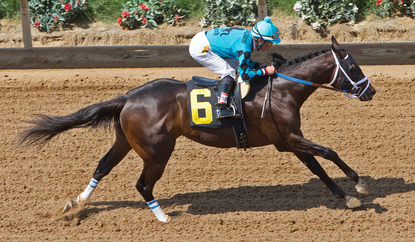 Big League wins a maiden race at Del Mar