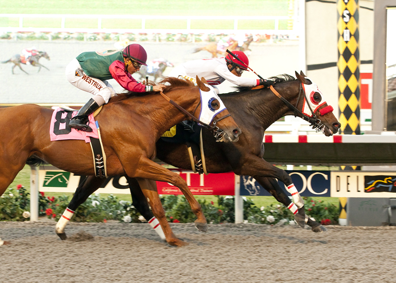 Big Macher 11-23-2014