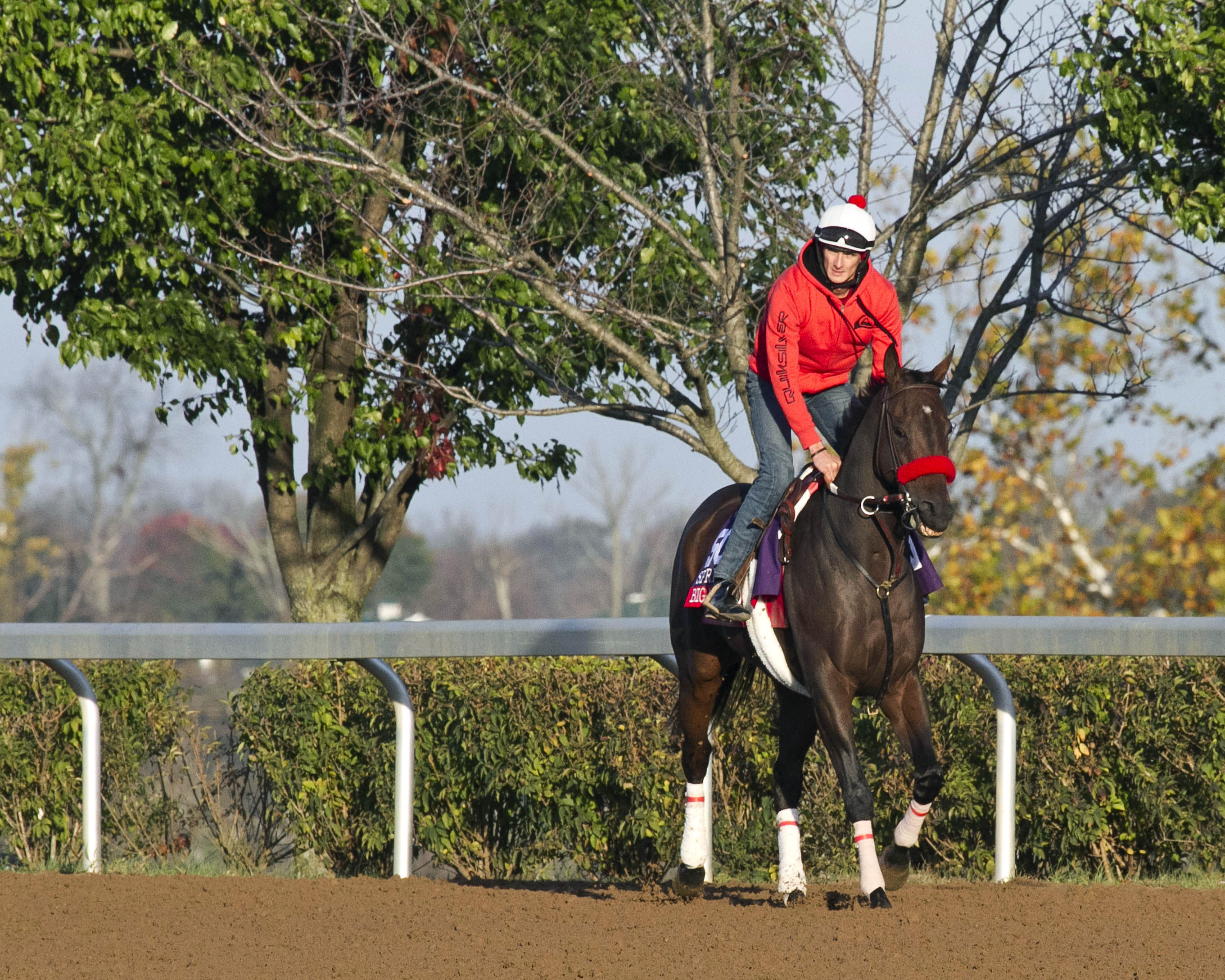 Big Macher trains at Santa Anita in October 2015