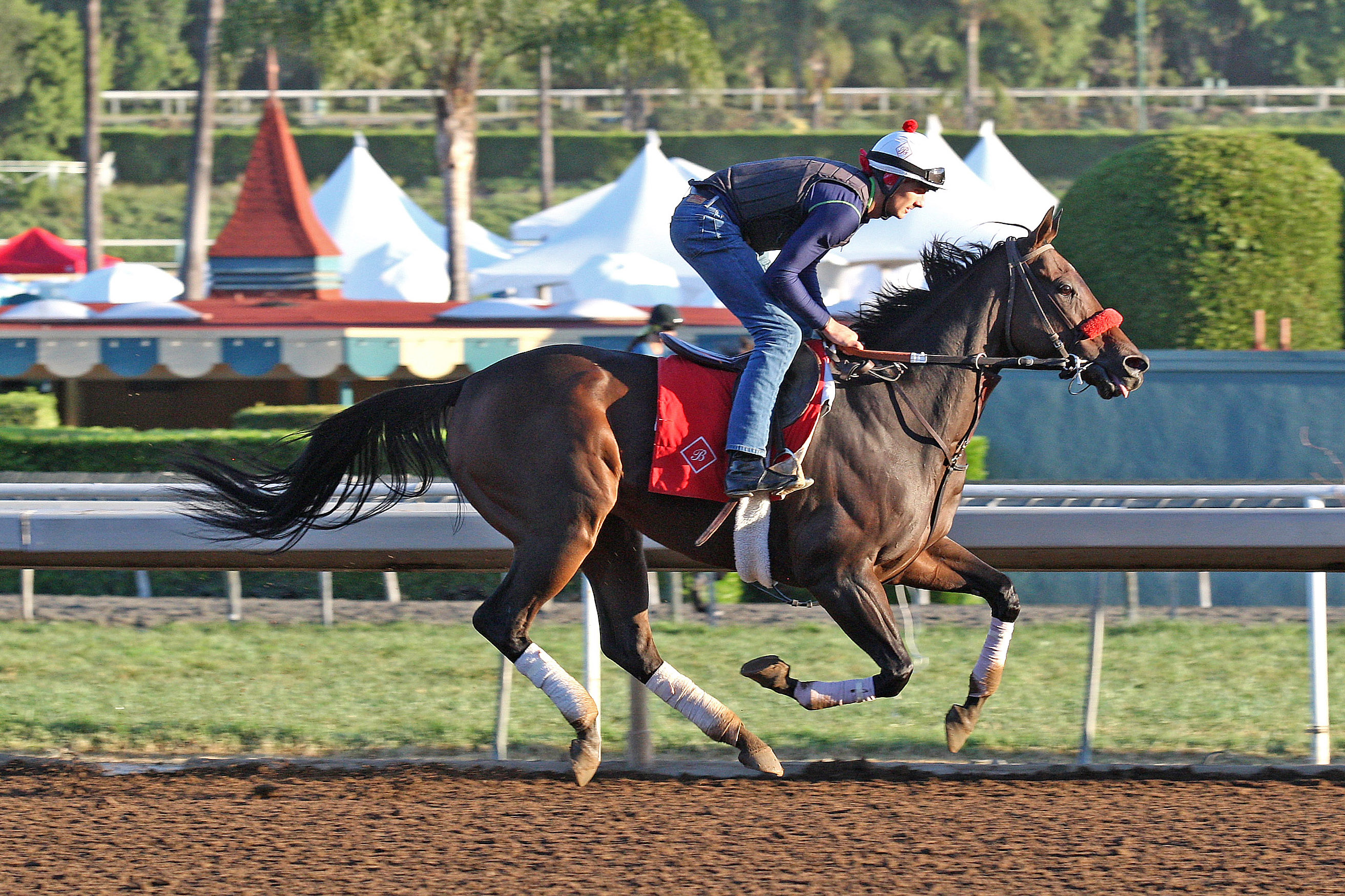 Big Macher trains at Santa Anita in October 2015