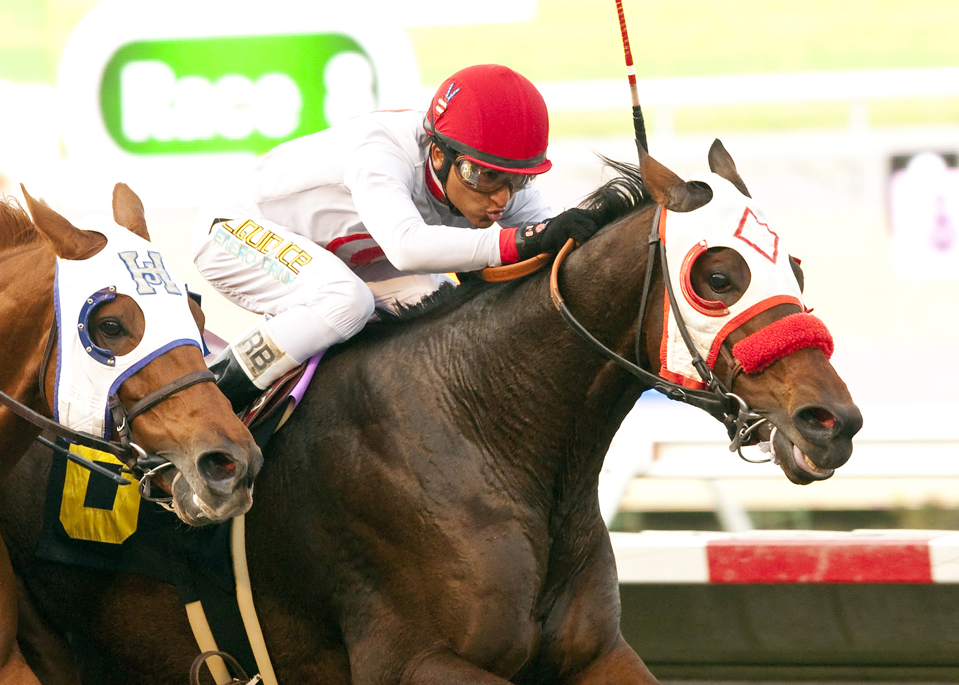 Big Macher wins the Cary Grant Stakes