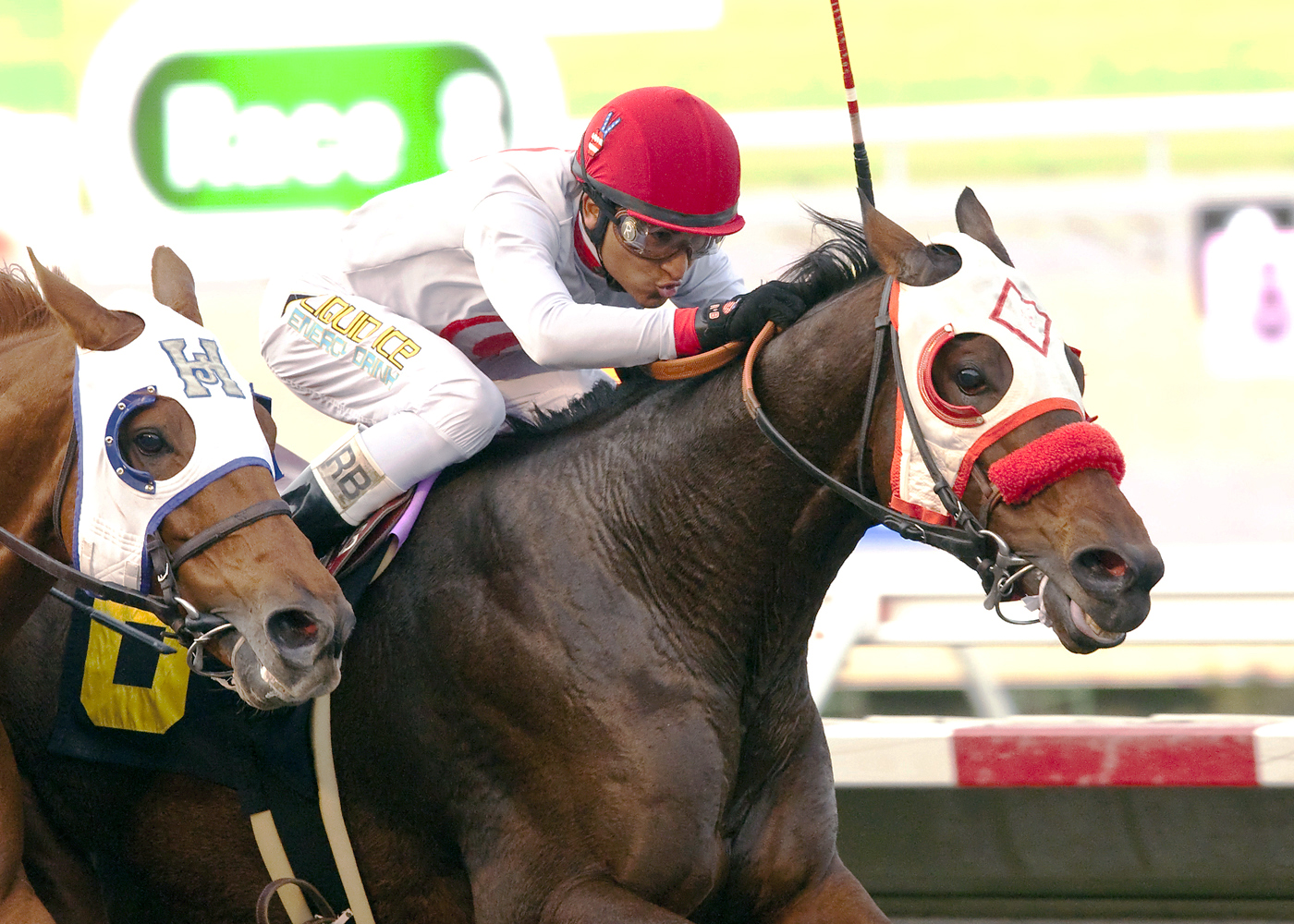 Big Macher wins the Cary Grant Stakes