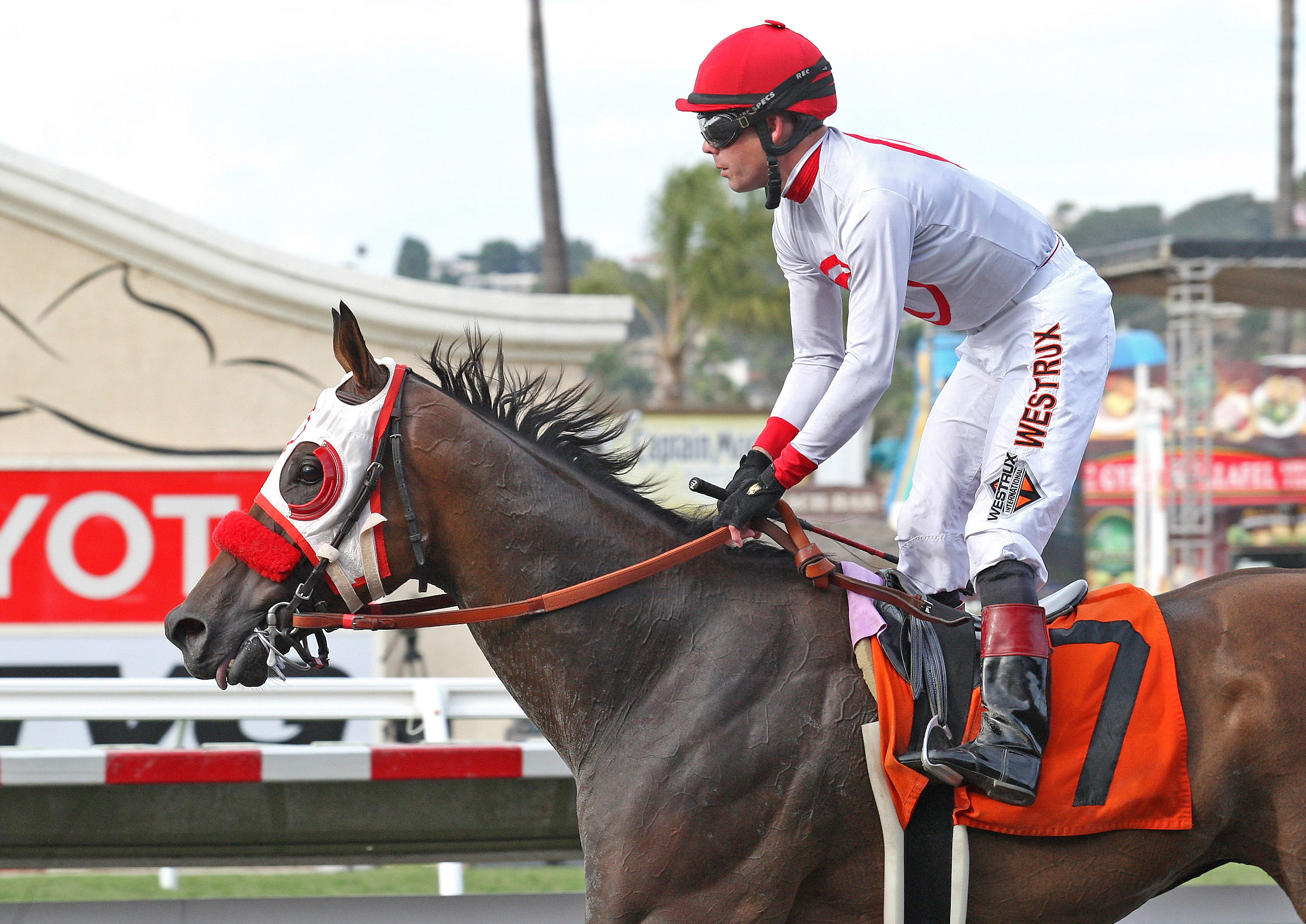 Big Macher at the Pat O'Brien