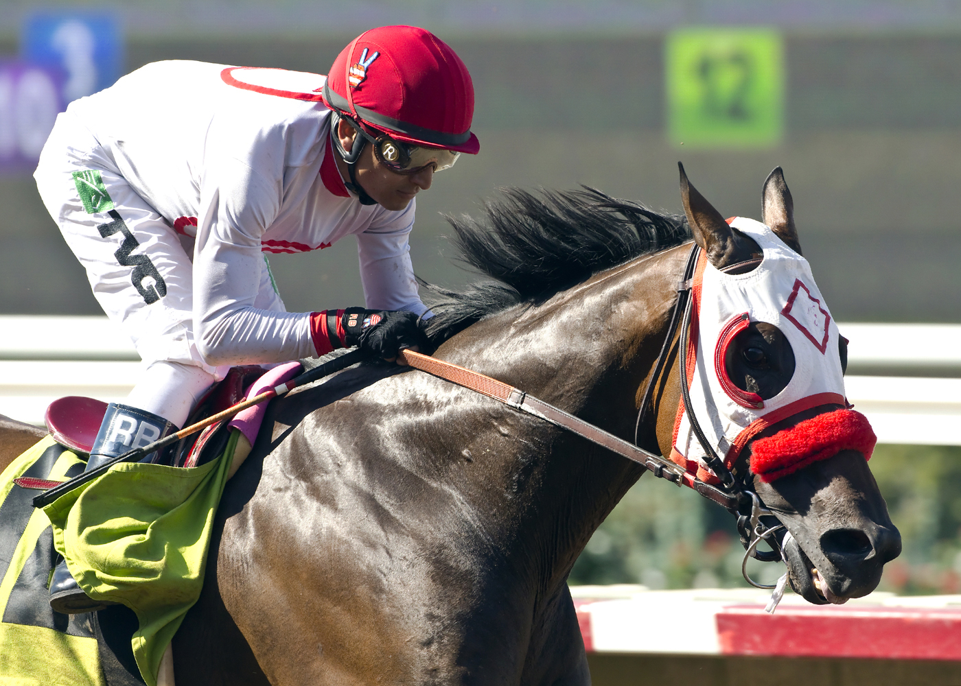 Big Macher wins the Pirate's Bounty